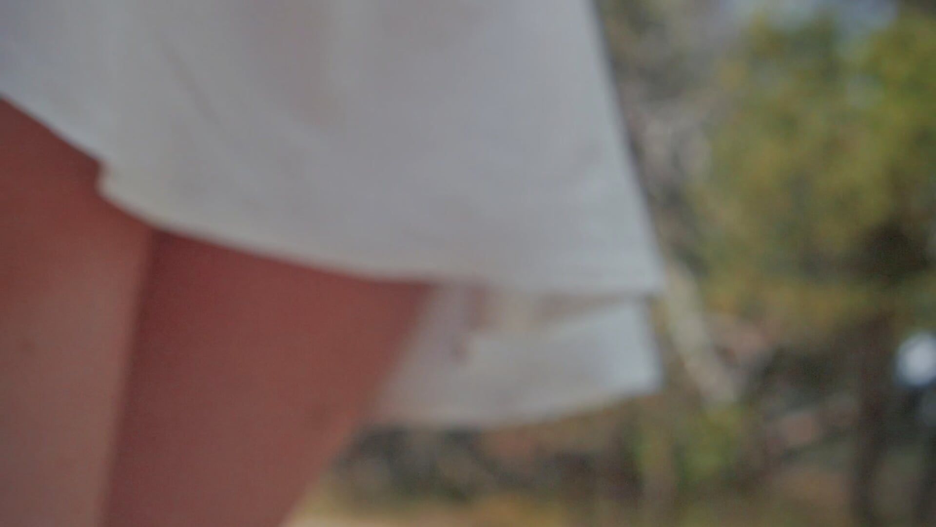 Taking off my Panties to Walk in the Park