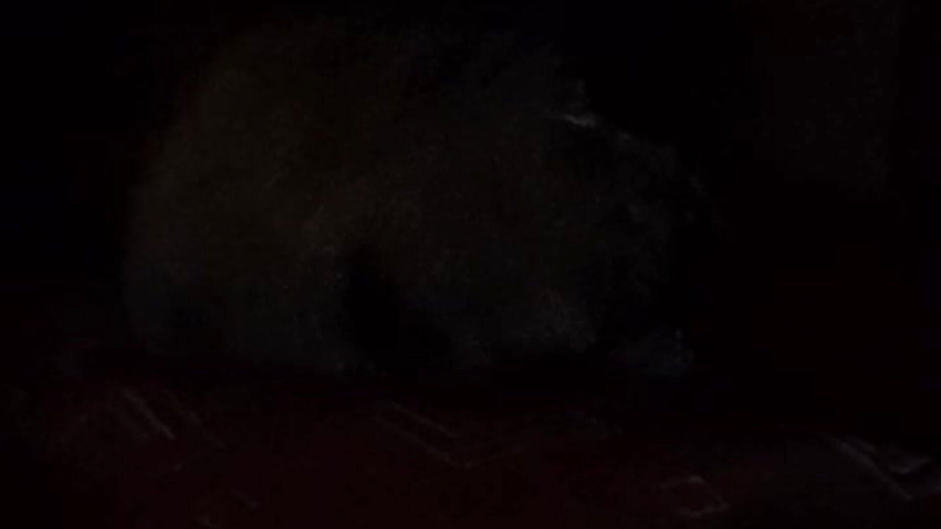 hey world - video av MaymeDeuel cam-modell