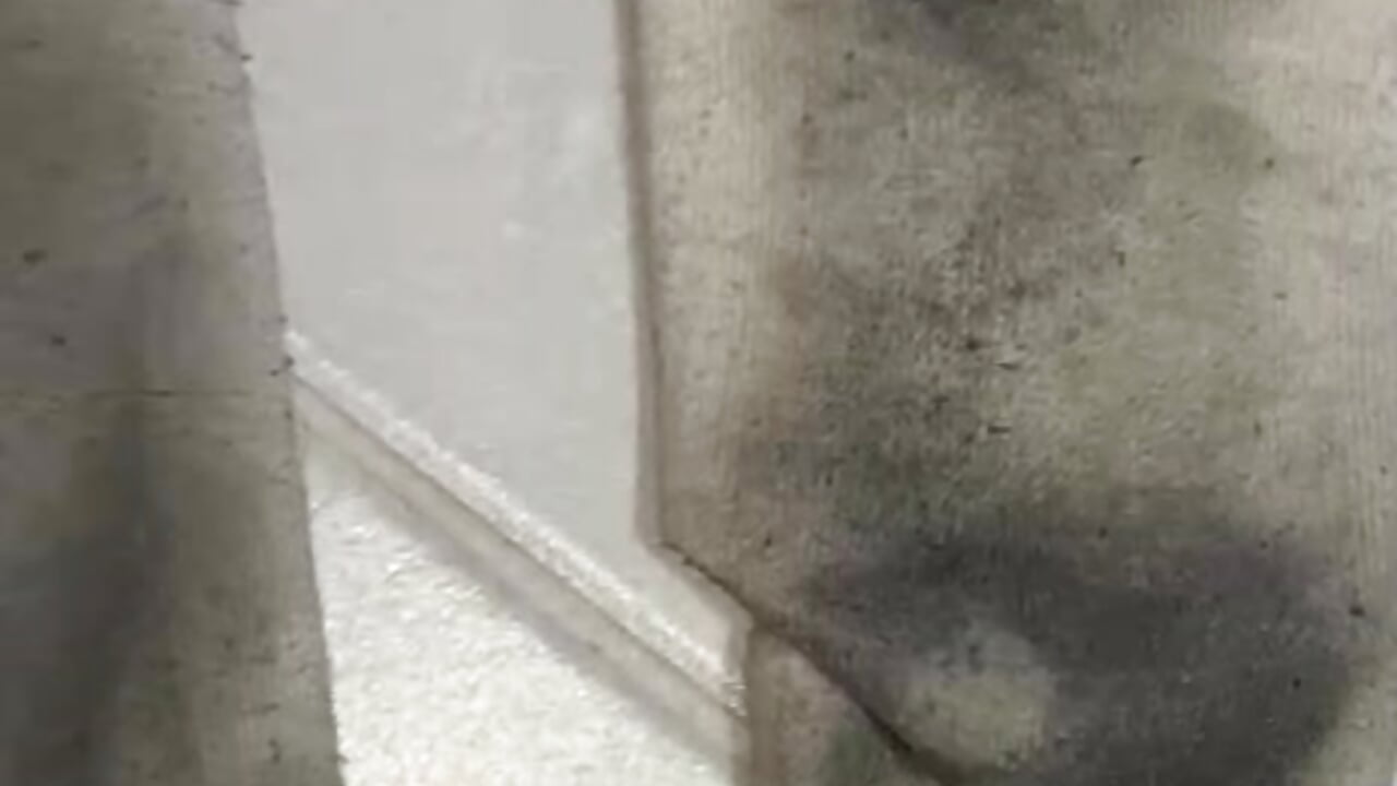 VIDEO-2025-09-08-03-16-05 - video by MASTER_PIG_FARMER cam model