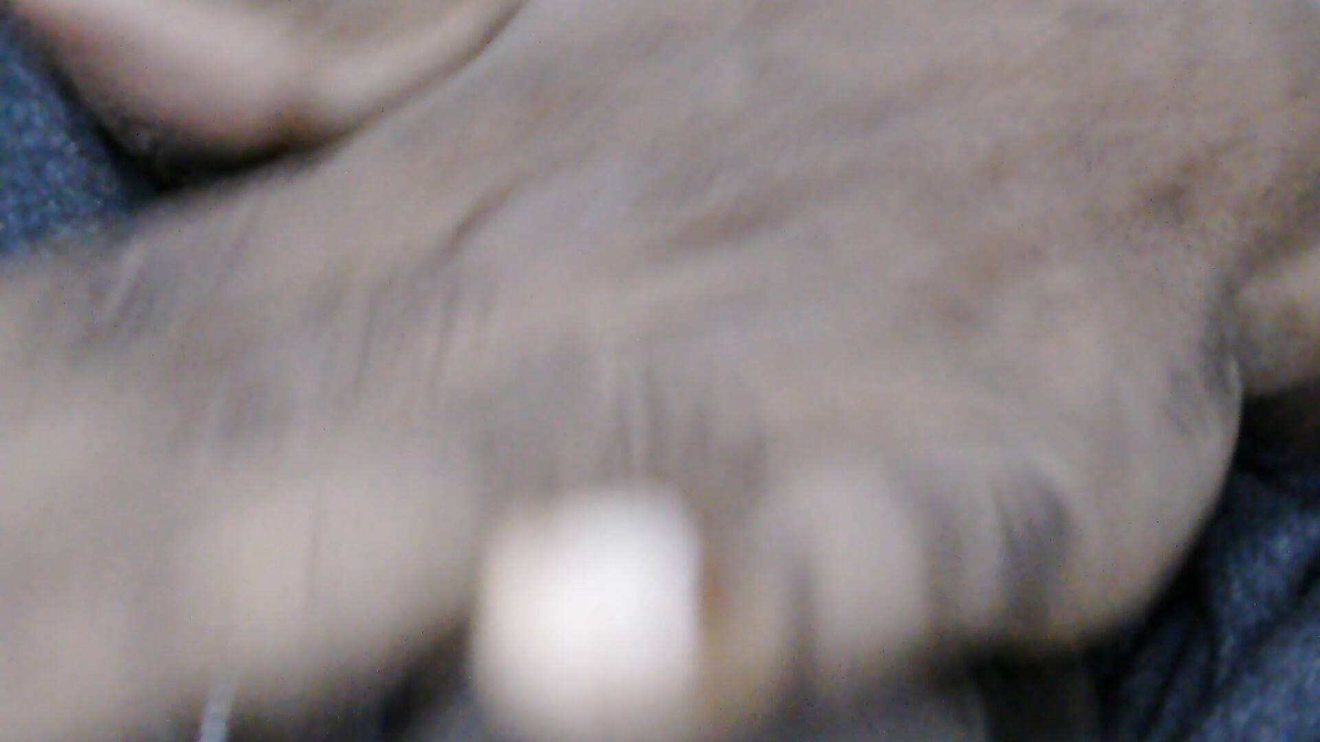 WIN_20251031_03_50_59_Pro - video by WolfMenSL cam model