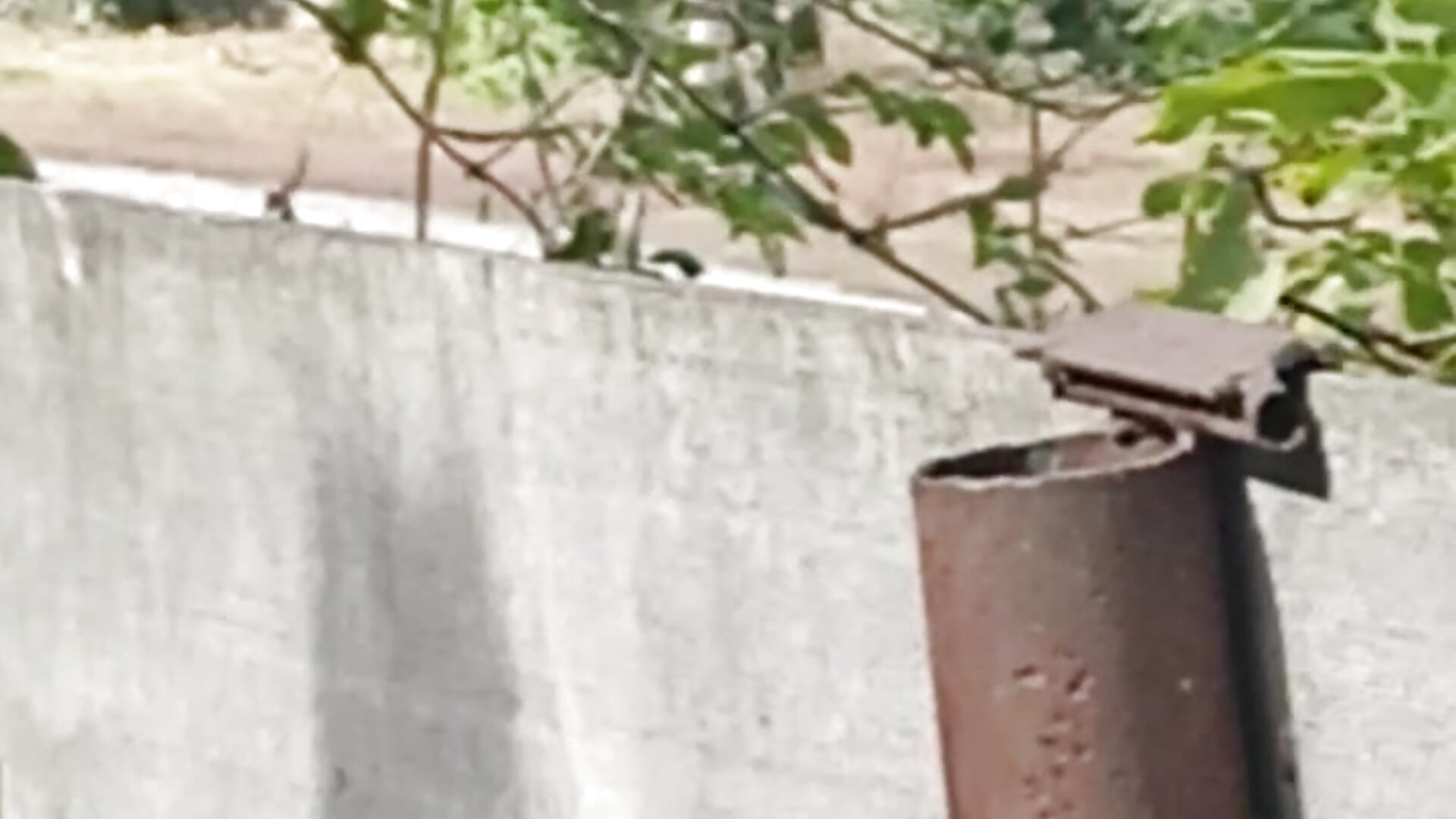 VID_20250929_124938 - video by brodjga cam model