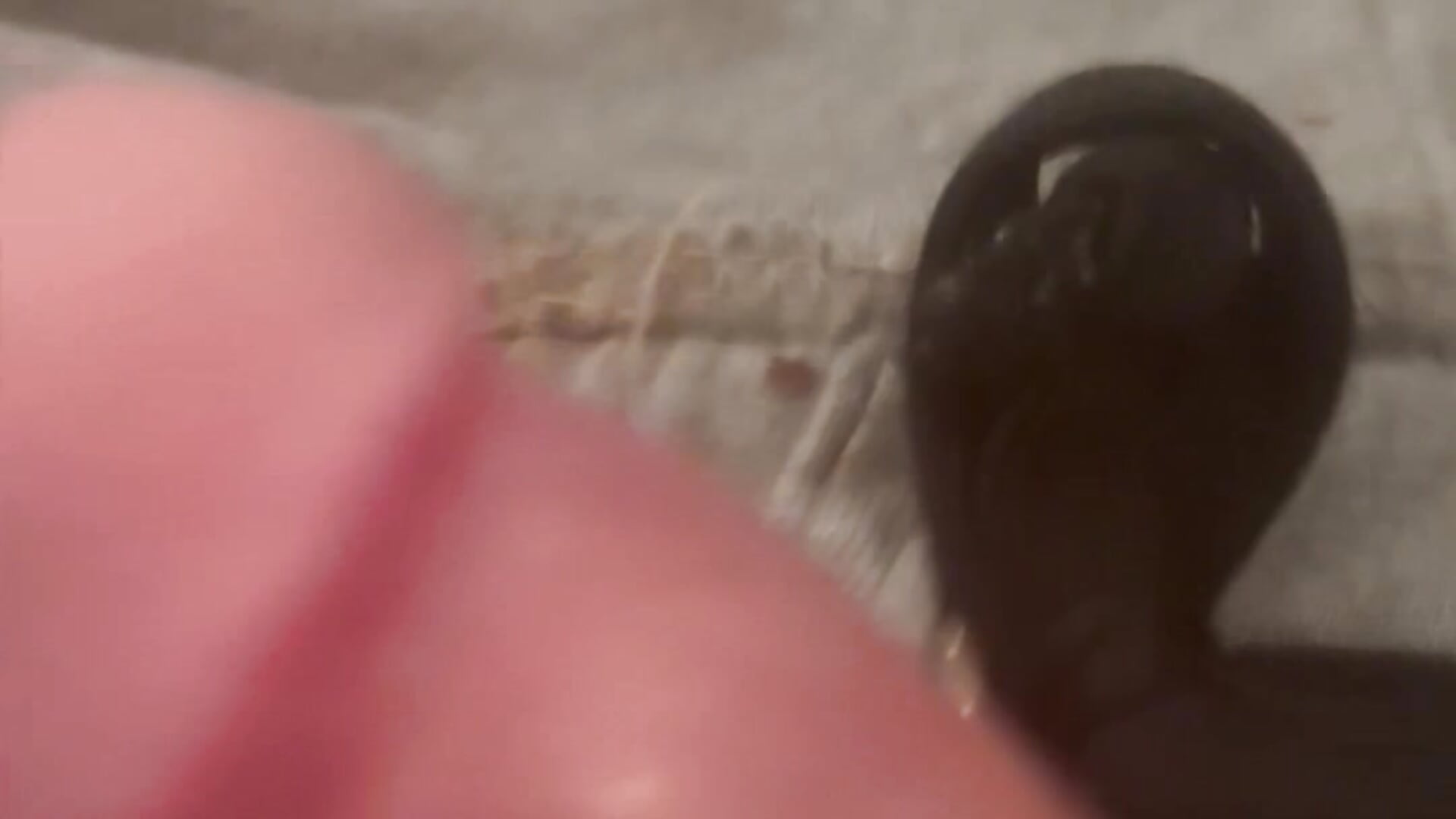 IMG_1960 - video by ThatRapperZigZag cam model