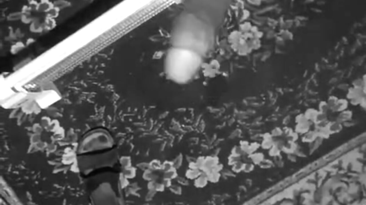 1000001850 - video by kukzin cam model