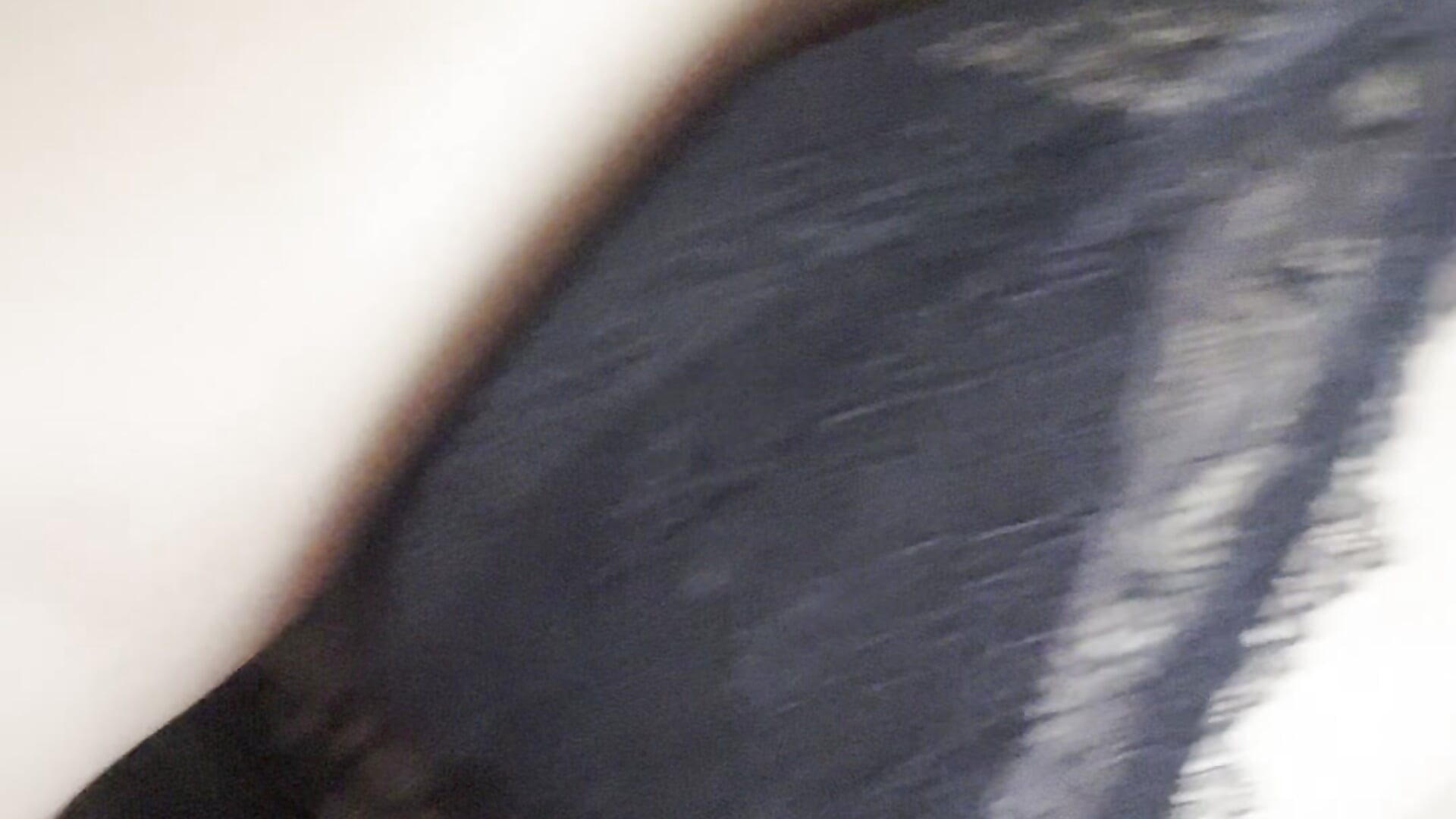 4953c228-a9ee-49d1-86b2-e1c711085e58-1_all_14446 - video di Edalyn29 modella di cam