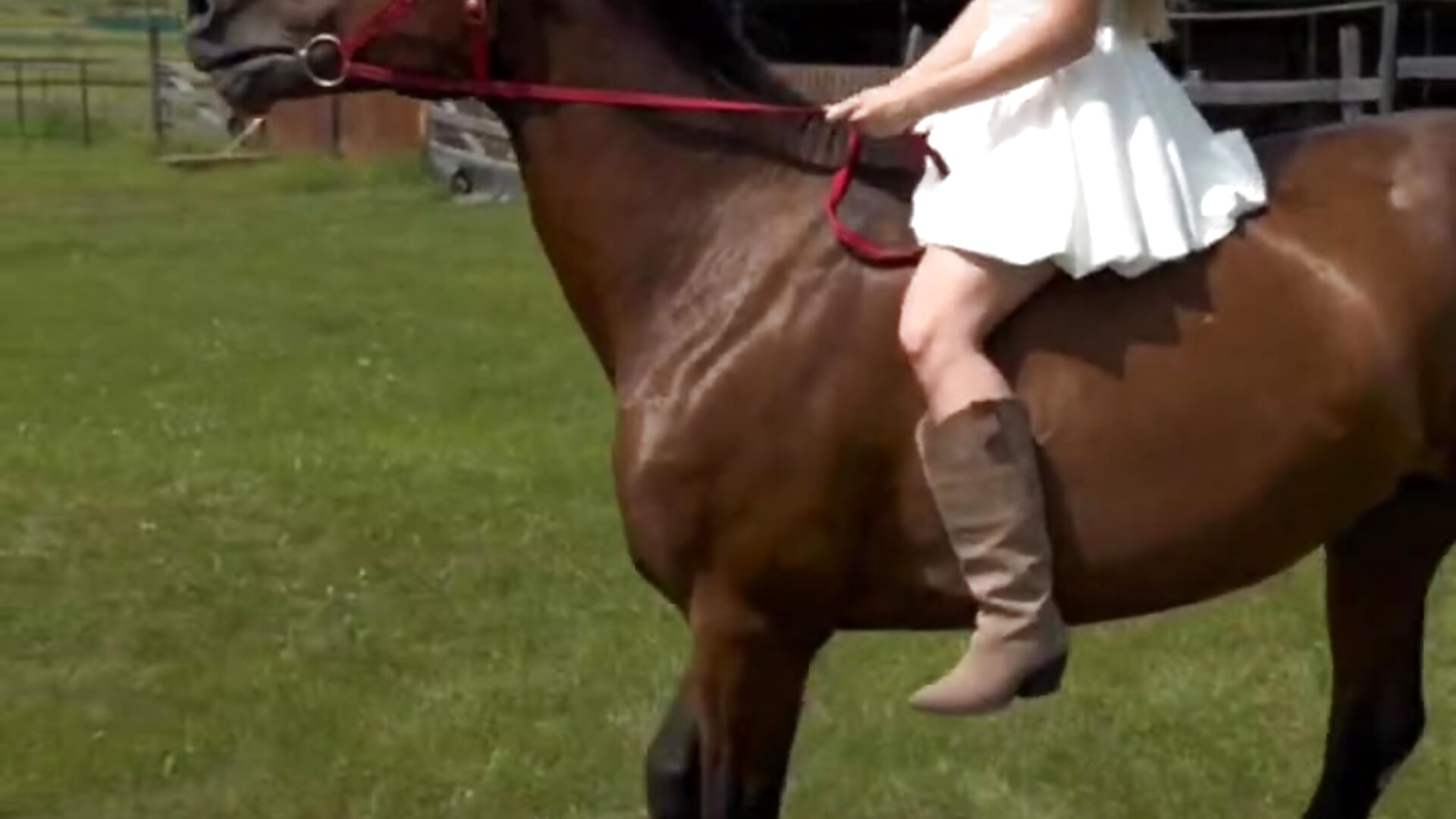 Cowgirl (On horseback) - video by AlbaMesick cam model