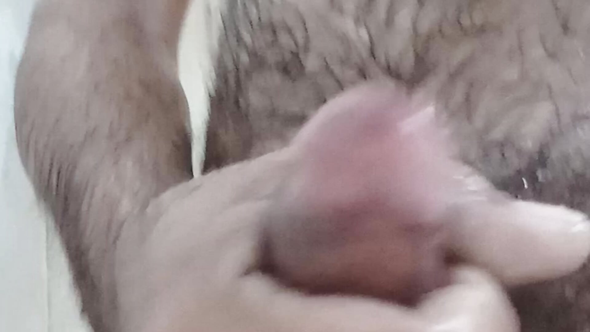 VID_20251031_093707.mp4 - video by Deyvid184 cam model