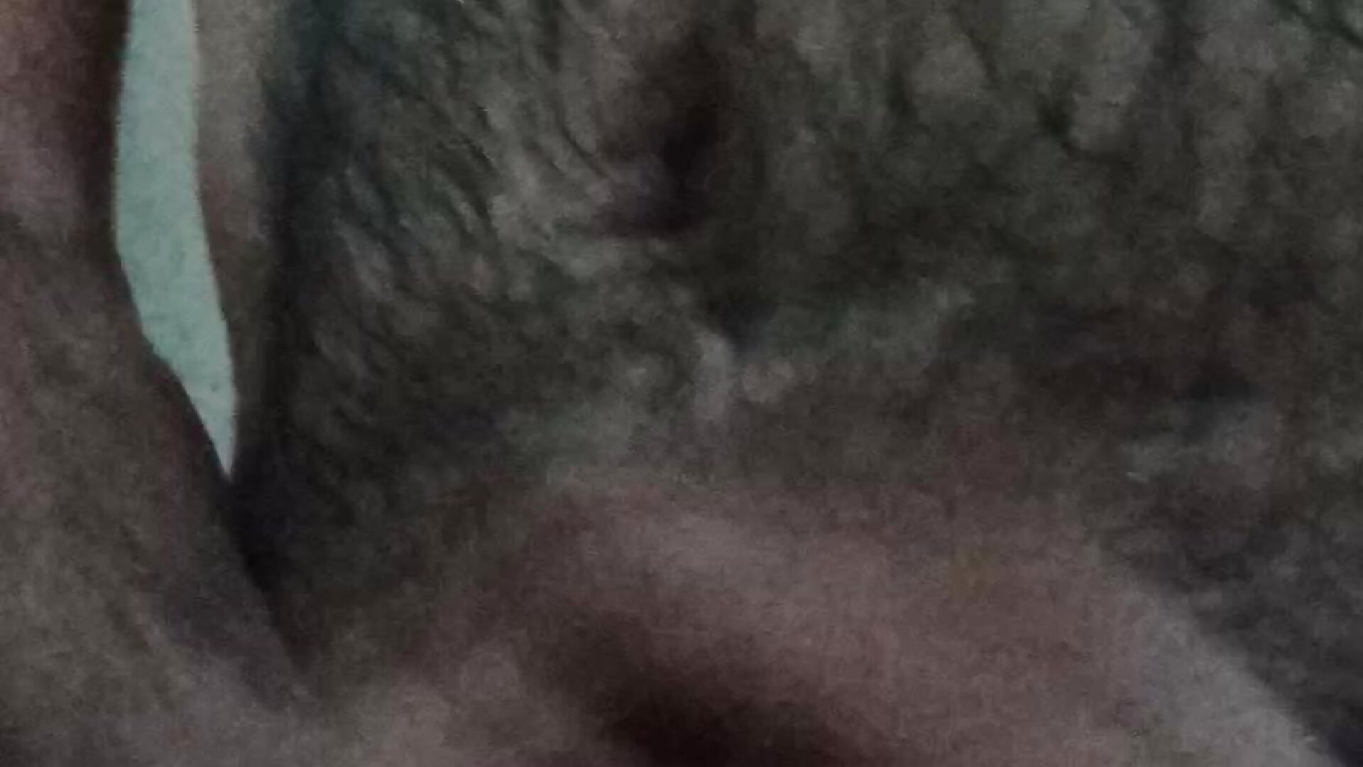 VID_20250905_204938 - video by Deyvid184 cam model