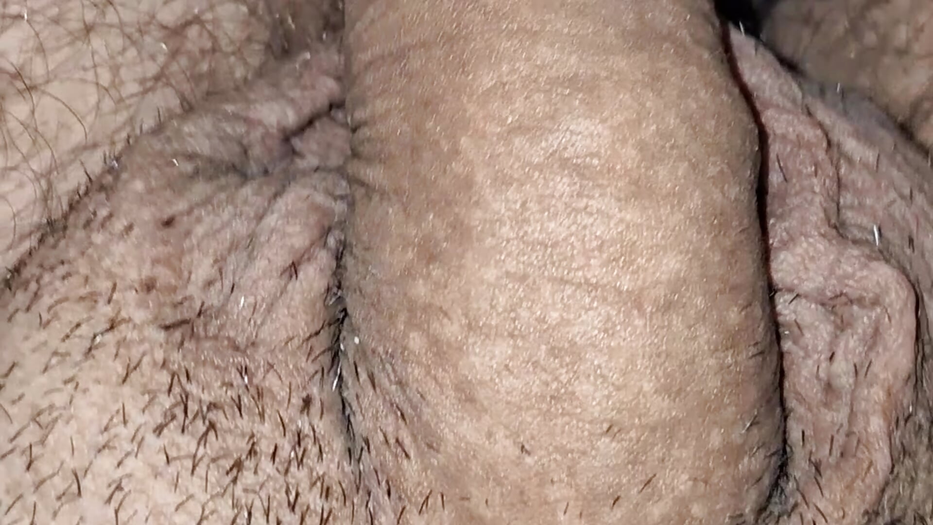 1000002820 - video by Pelohuszar cam model