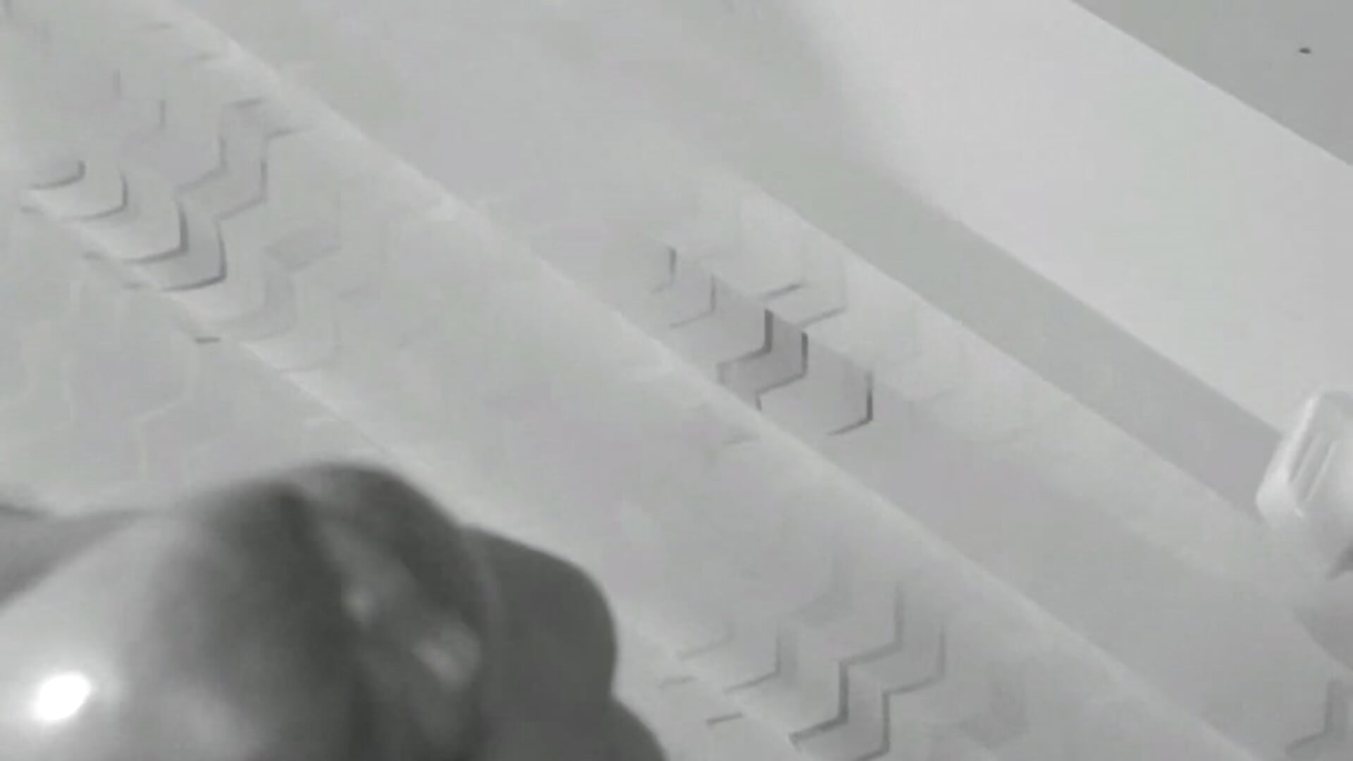 Quick Nut - video Chewphatcock kameramallilta