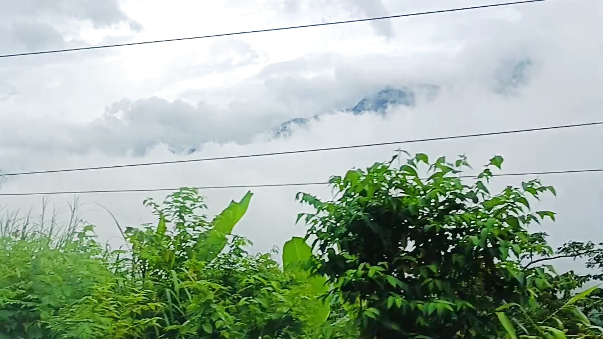 VID20250726162648 - video của người mẫu cam Deliciouskimi