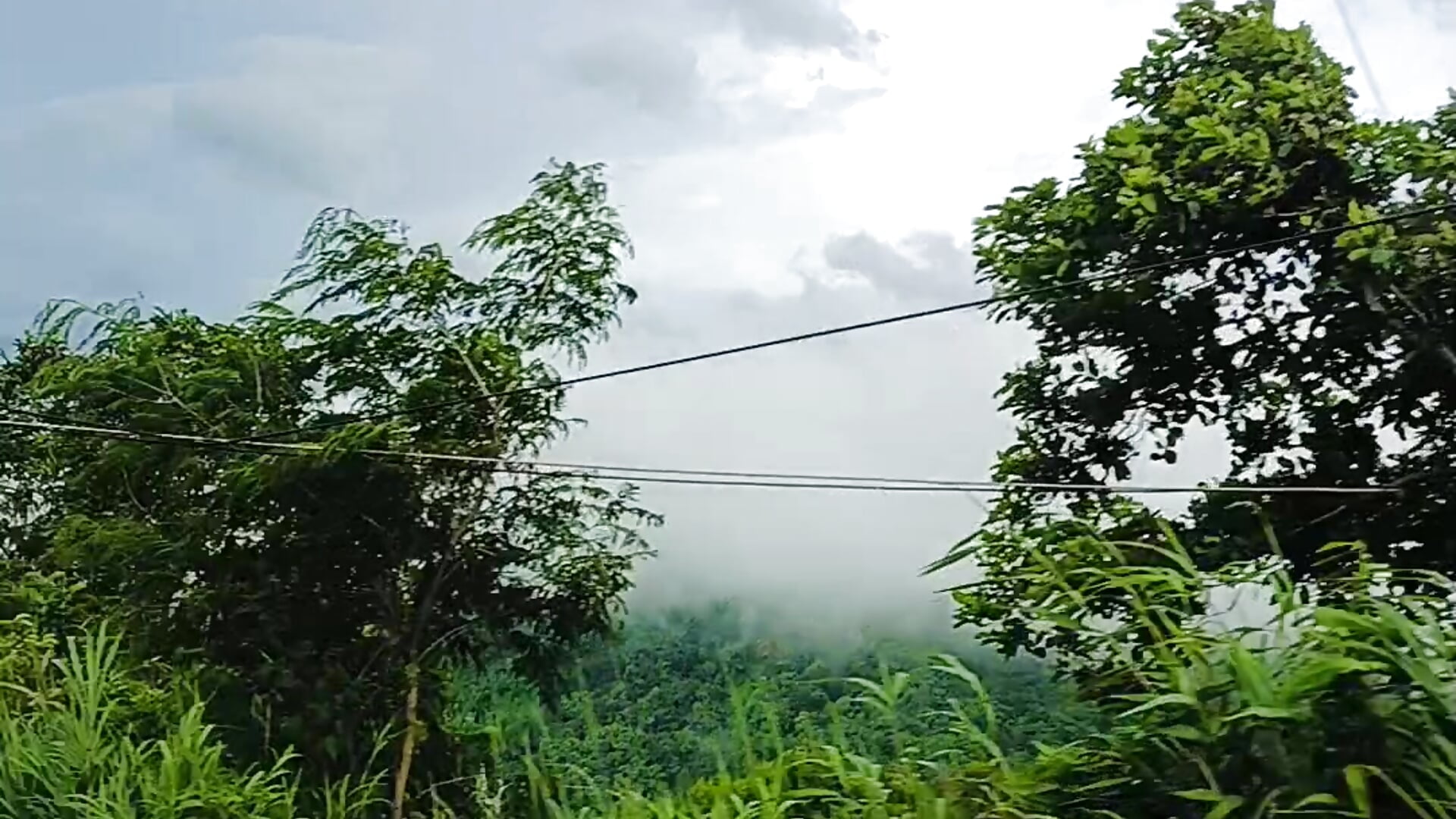 VID20250726162723 - video của người mẫu cam Deliciouskimi