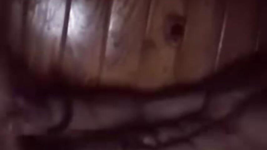 VID_20260101_160357_364 - video của người mẫu cam Djdashka