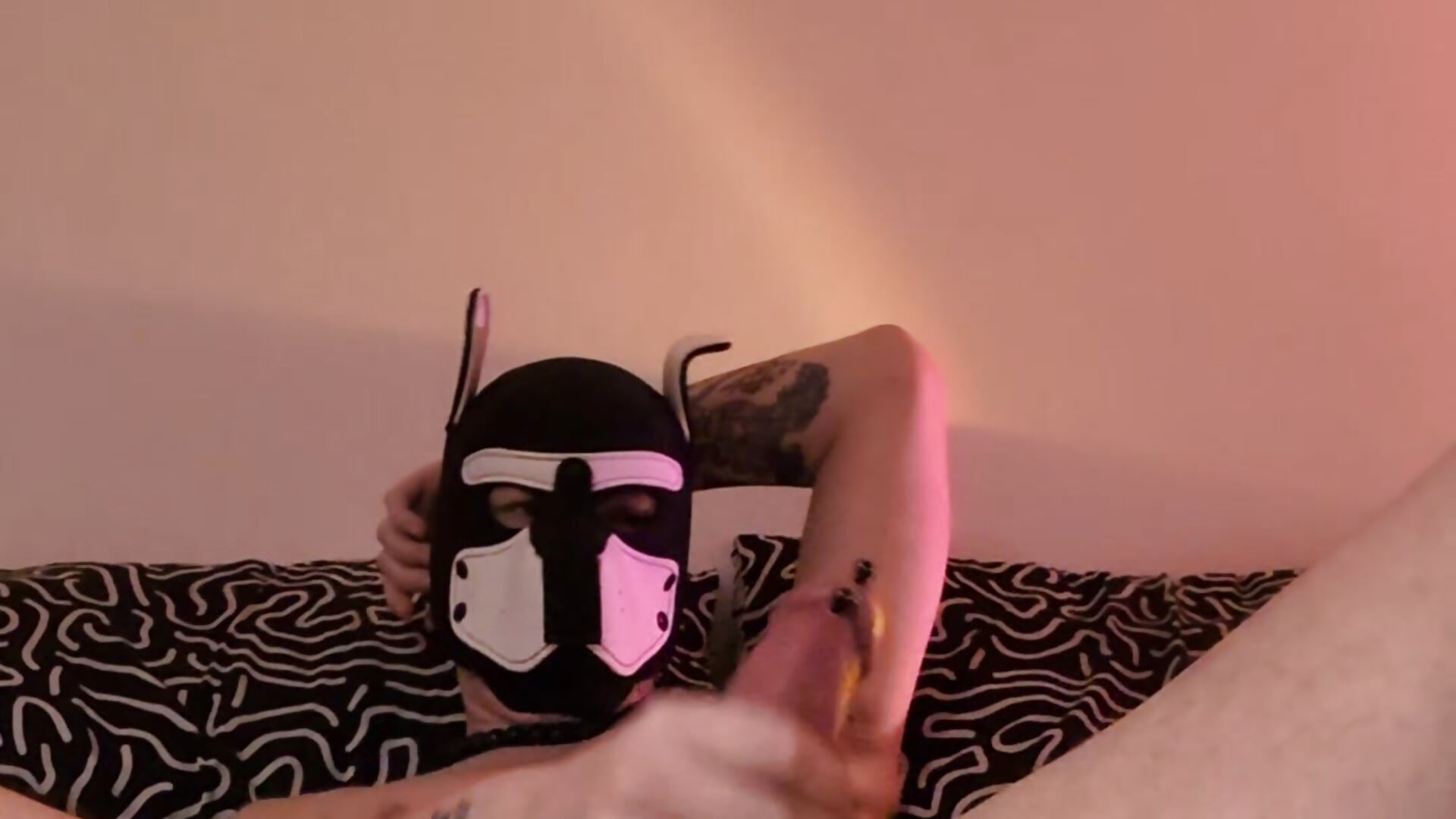 Taster - Jb0ne 캠 모델의 동영상