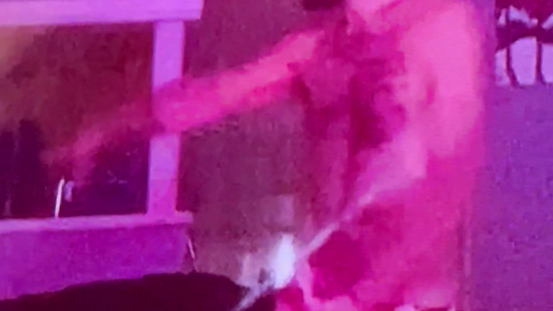 IMG_2876 - video by versatilevortex cam model