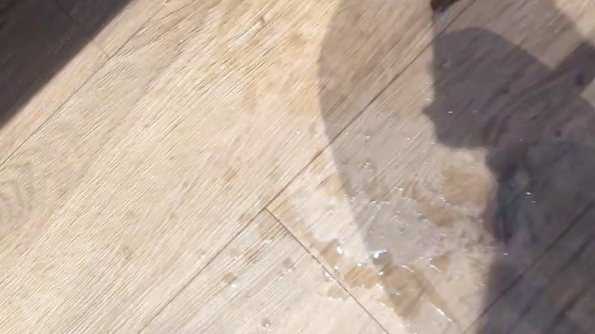 💦 - vidéo du modèle de showcams Kristyoff