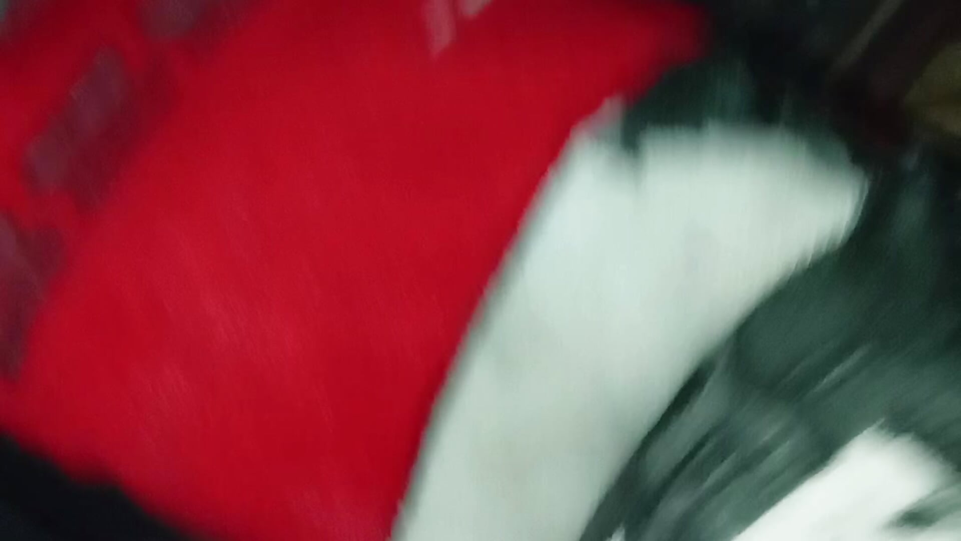 8d2a617e-06bd-4e67-a6b8-2eb459d0d736-1_all_756.mp4 - video av Pugadarkspapi cam-modell