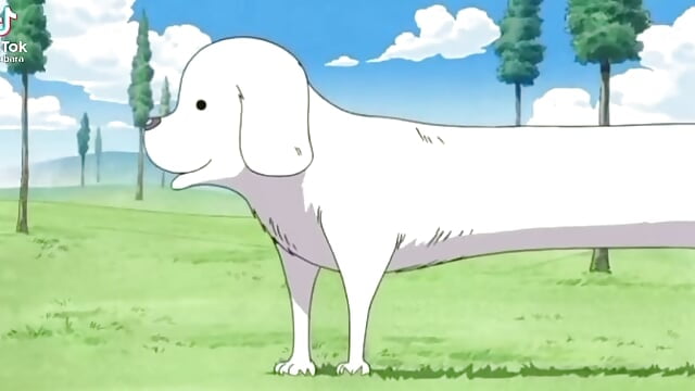 2狗對視👀 - video oleh kai101010 kamera model