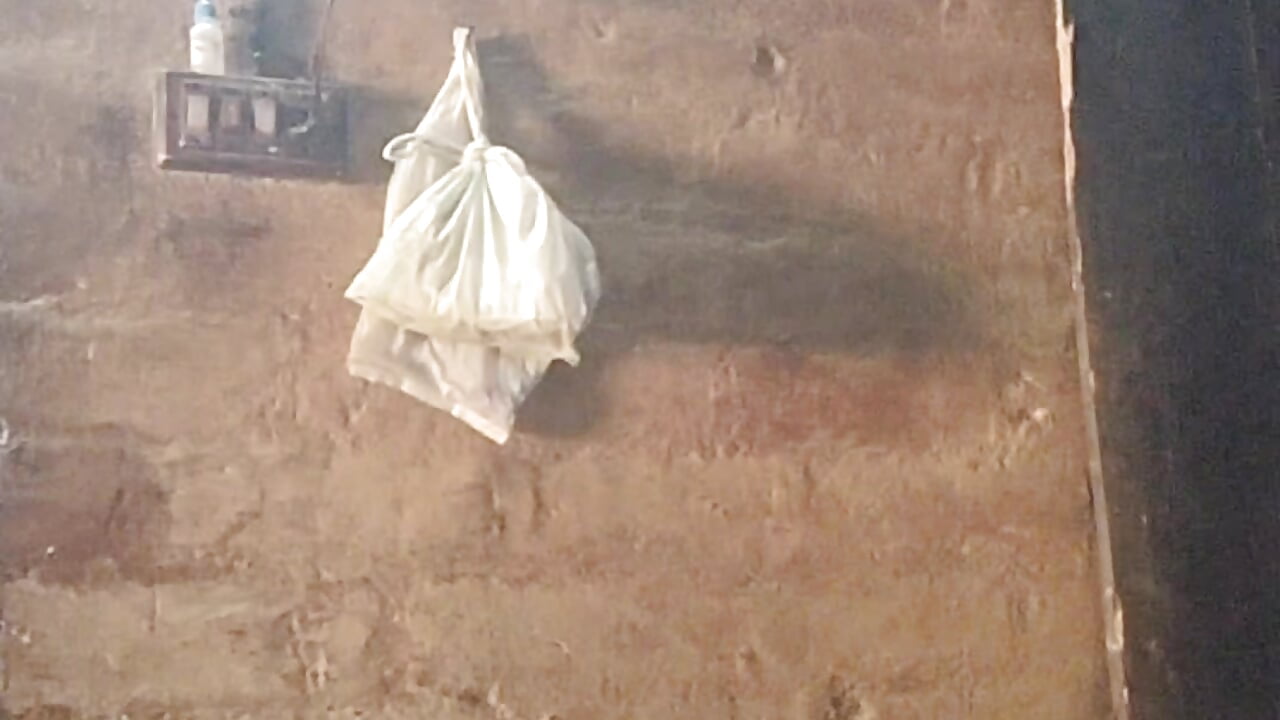 VID-20251116-WA0008 - video by Nidhinchirackal cam model