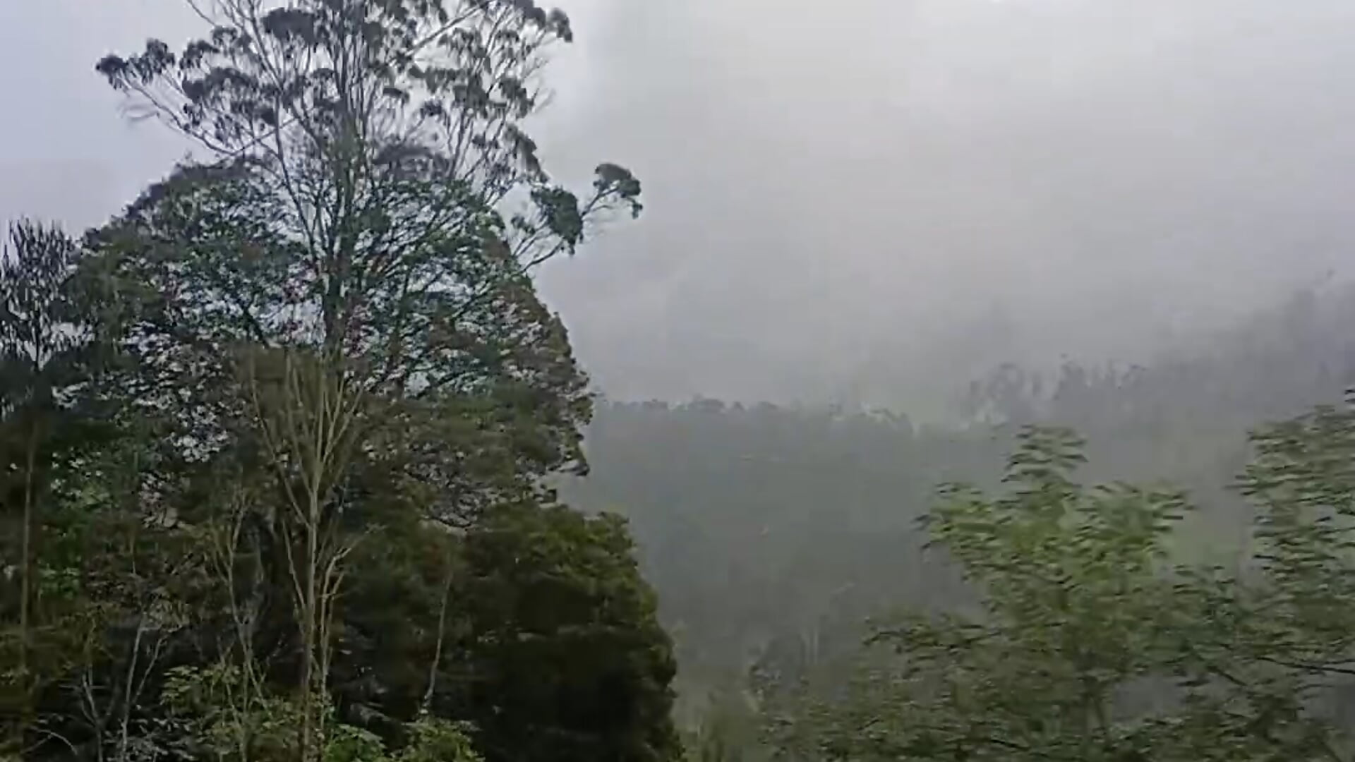 💜 — filmik SabrinaV_, modela(-lki) na kamerkach