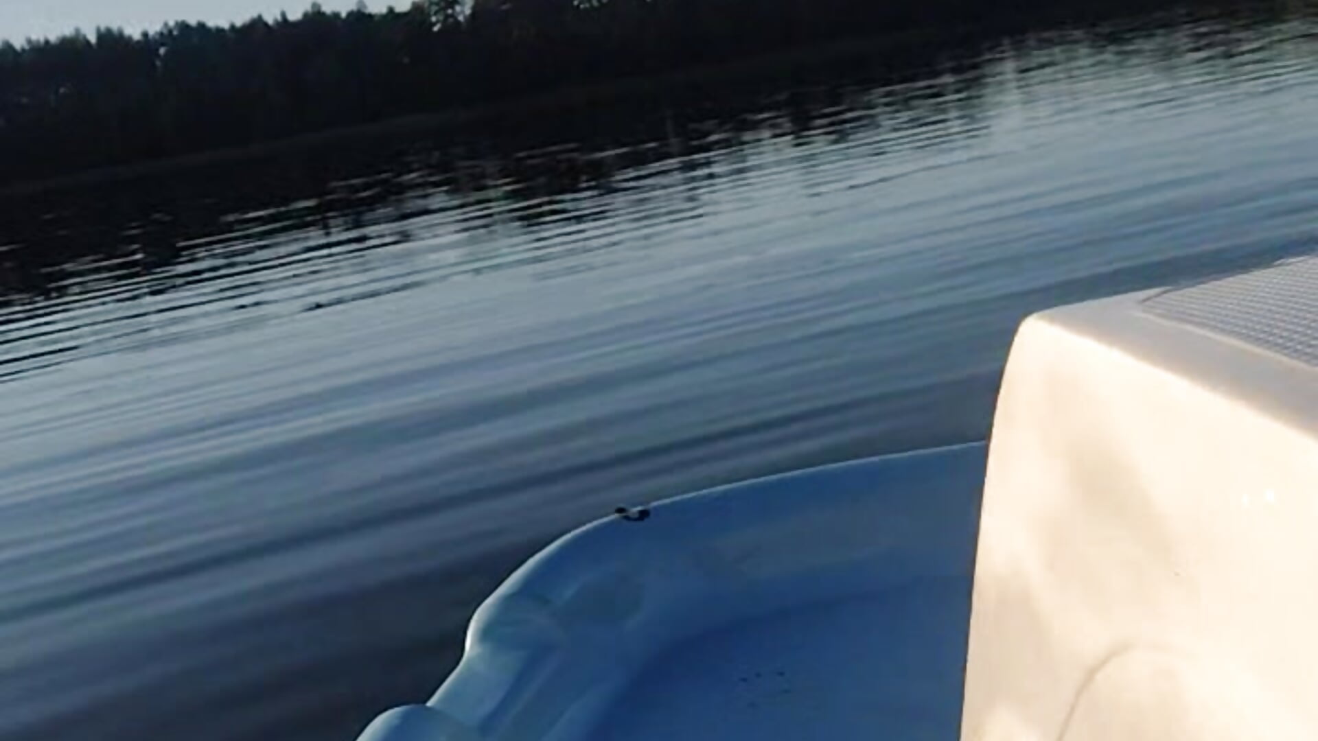 2726 - video by xincognito666x cam model