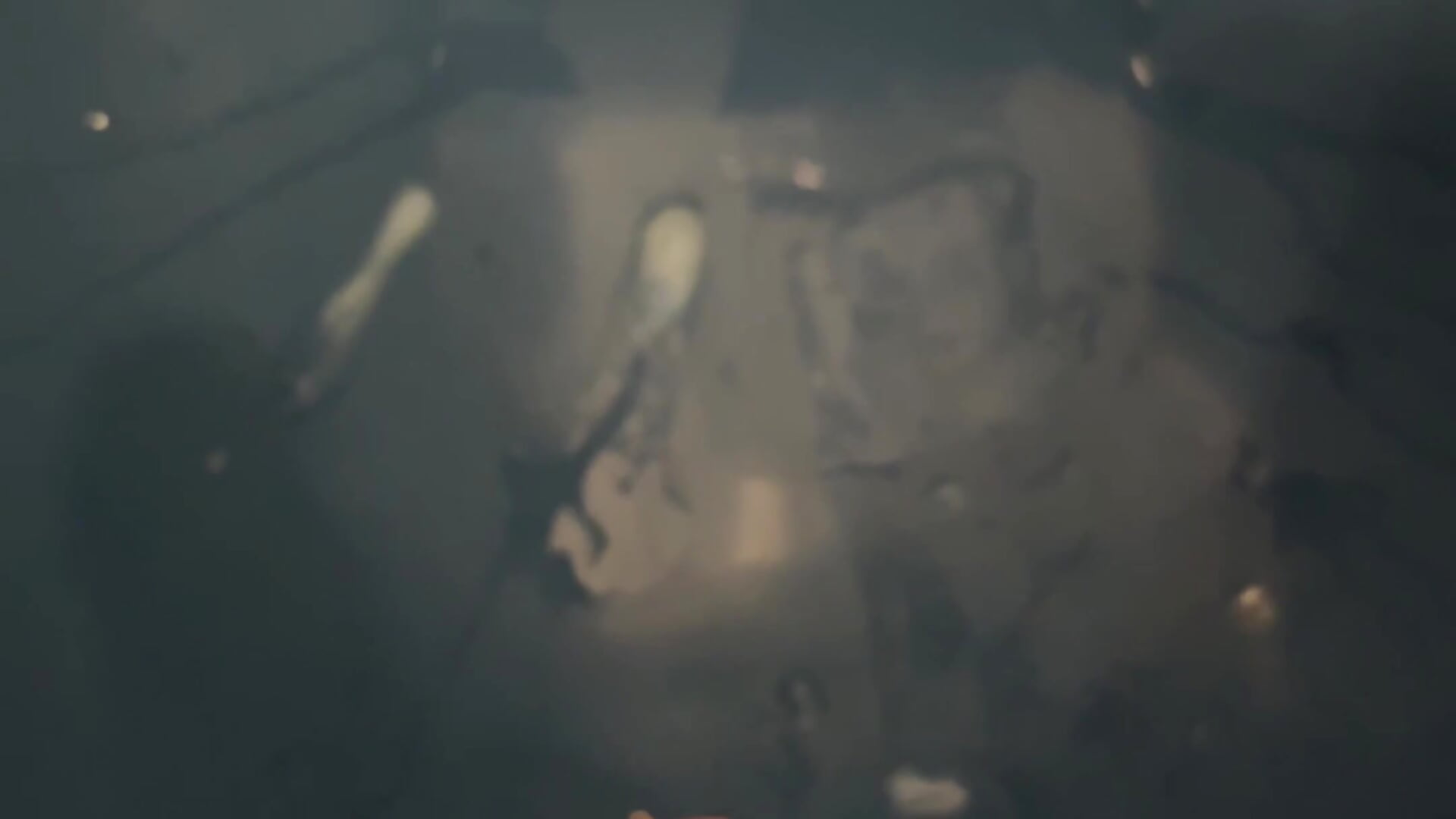 18cm hard dick shot out - video av leeyoung_ cam model