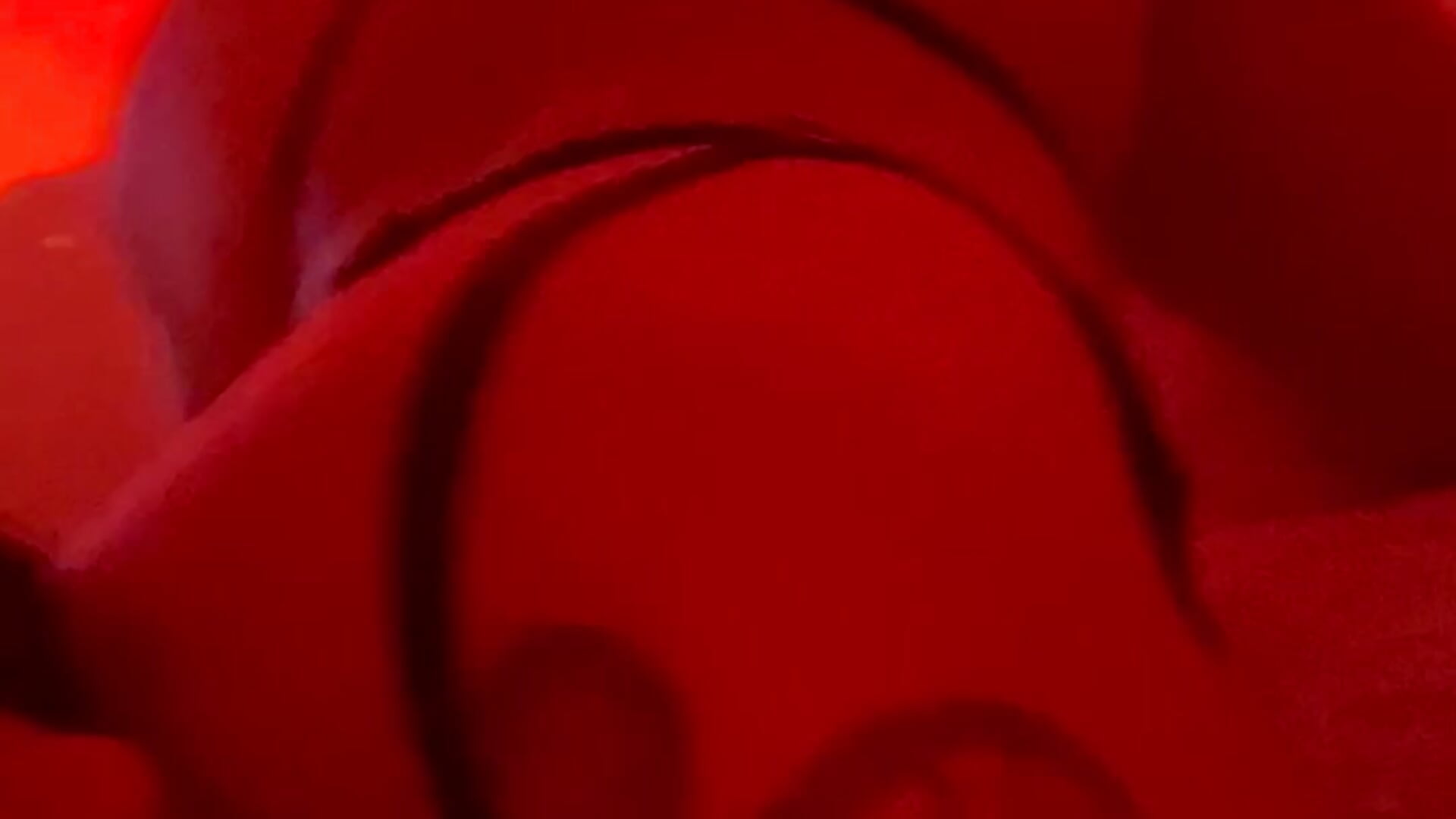 IMG_8848 - video by liiacruz cam model