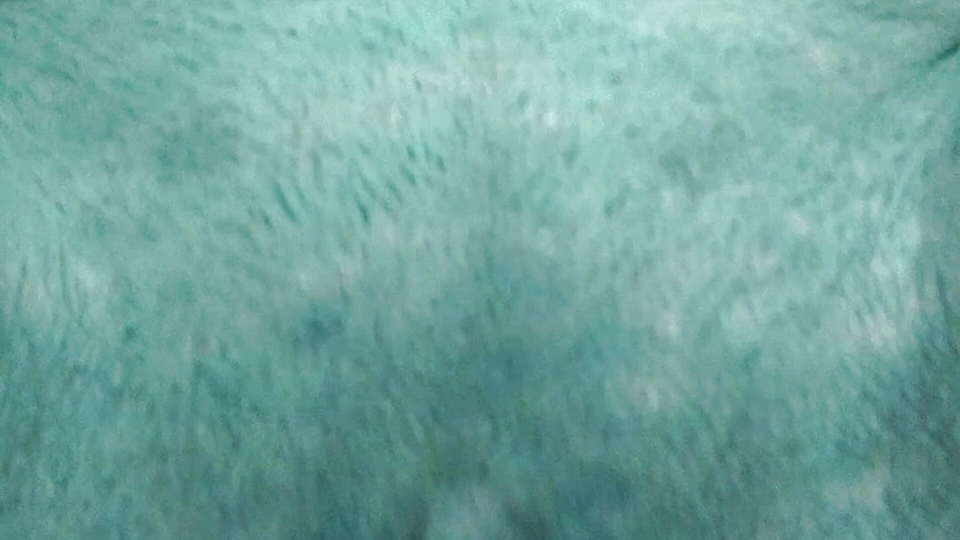 8837 - video od modelky/modela Your_Sweety43