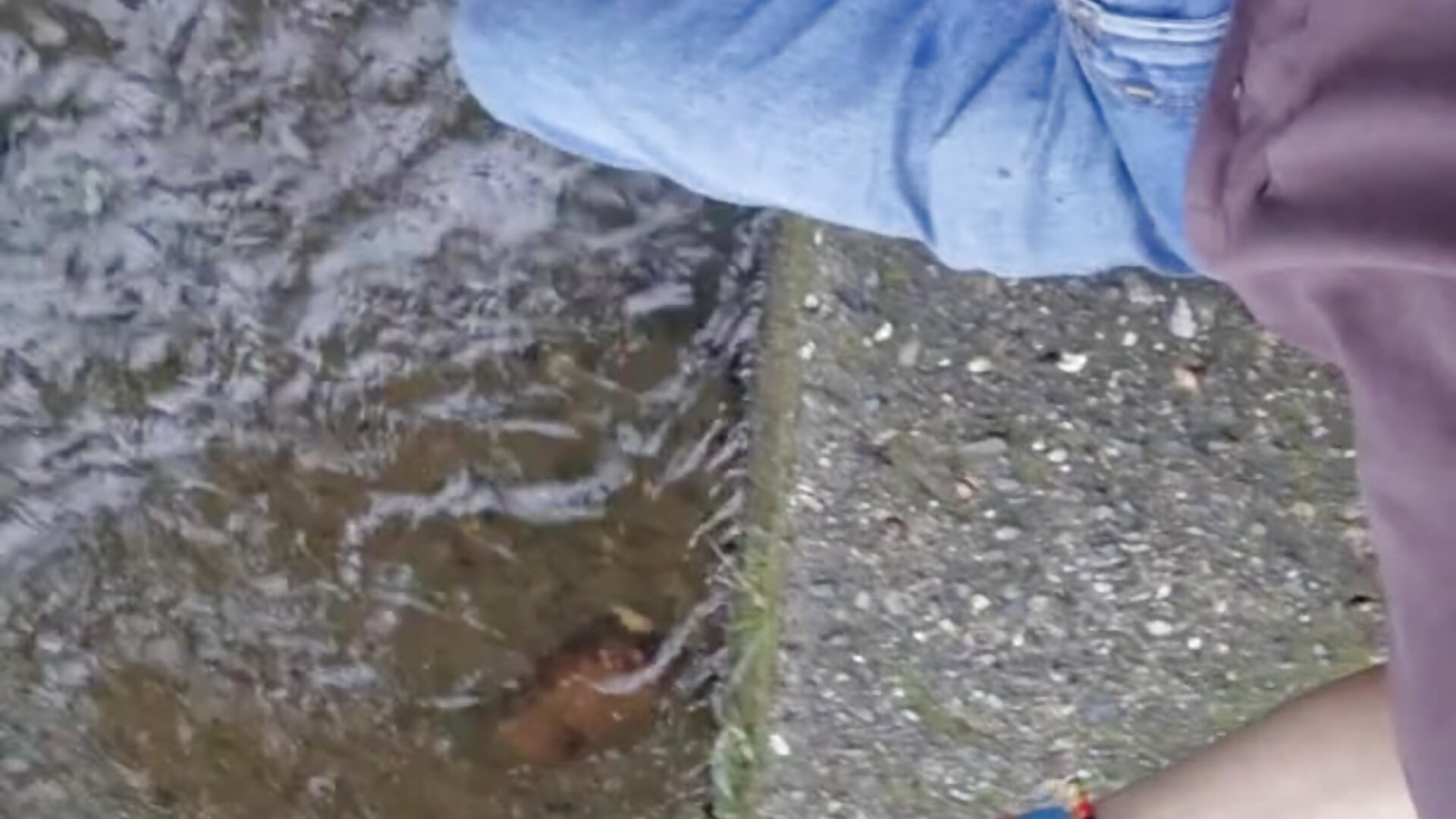 river– Amun_obsidian kameramodell videója