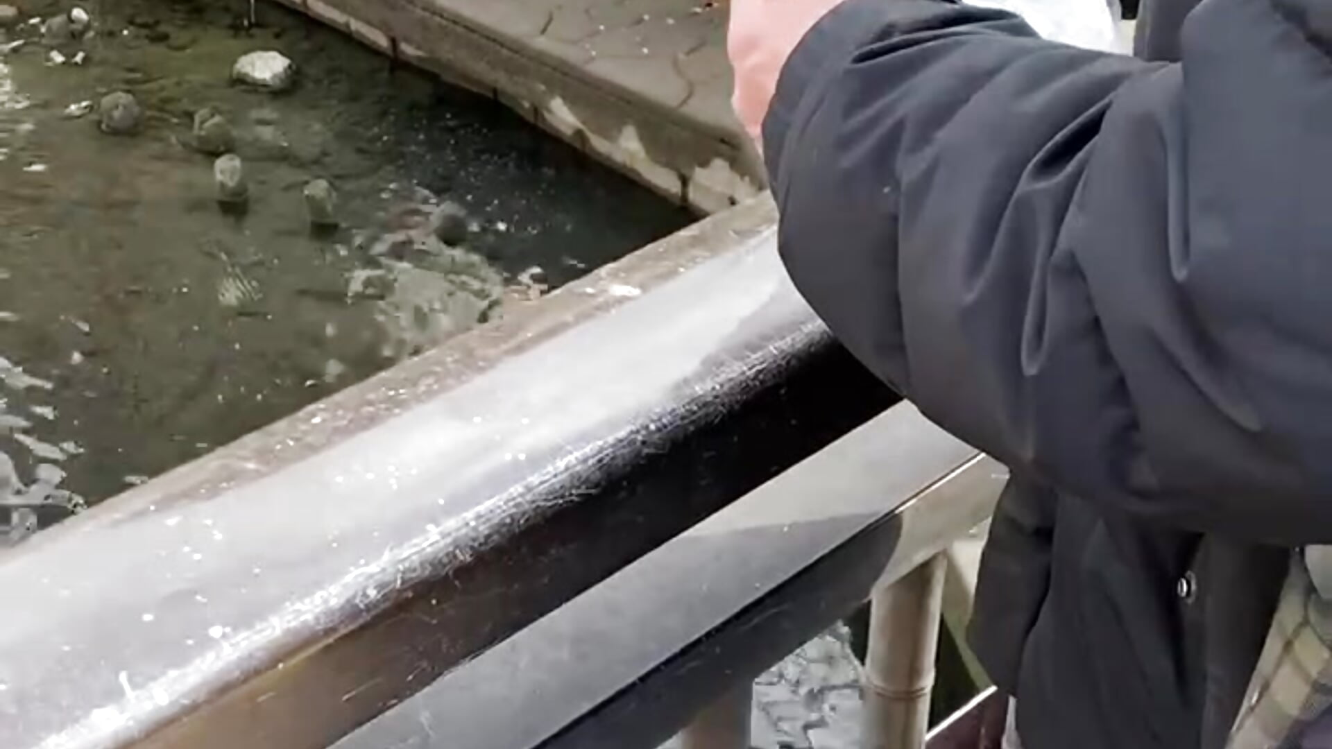 trim_64B9A49A-31FB-4B8A-8FC0-2361CBC1DDBD - video by mino_bitter cam model