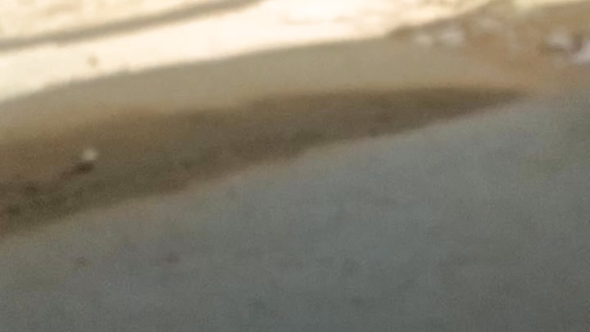 VID_20260203_150656850 - วิดีโอโดย Rshi994   โมเดลแคม