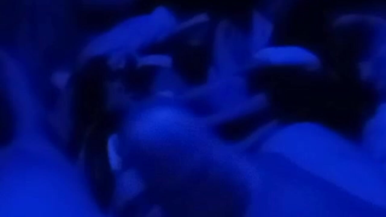 VID-20240418-WA0032 - video av YerryyelGanzo cam-modell