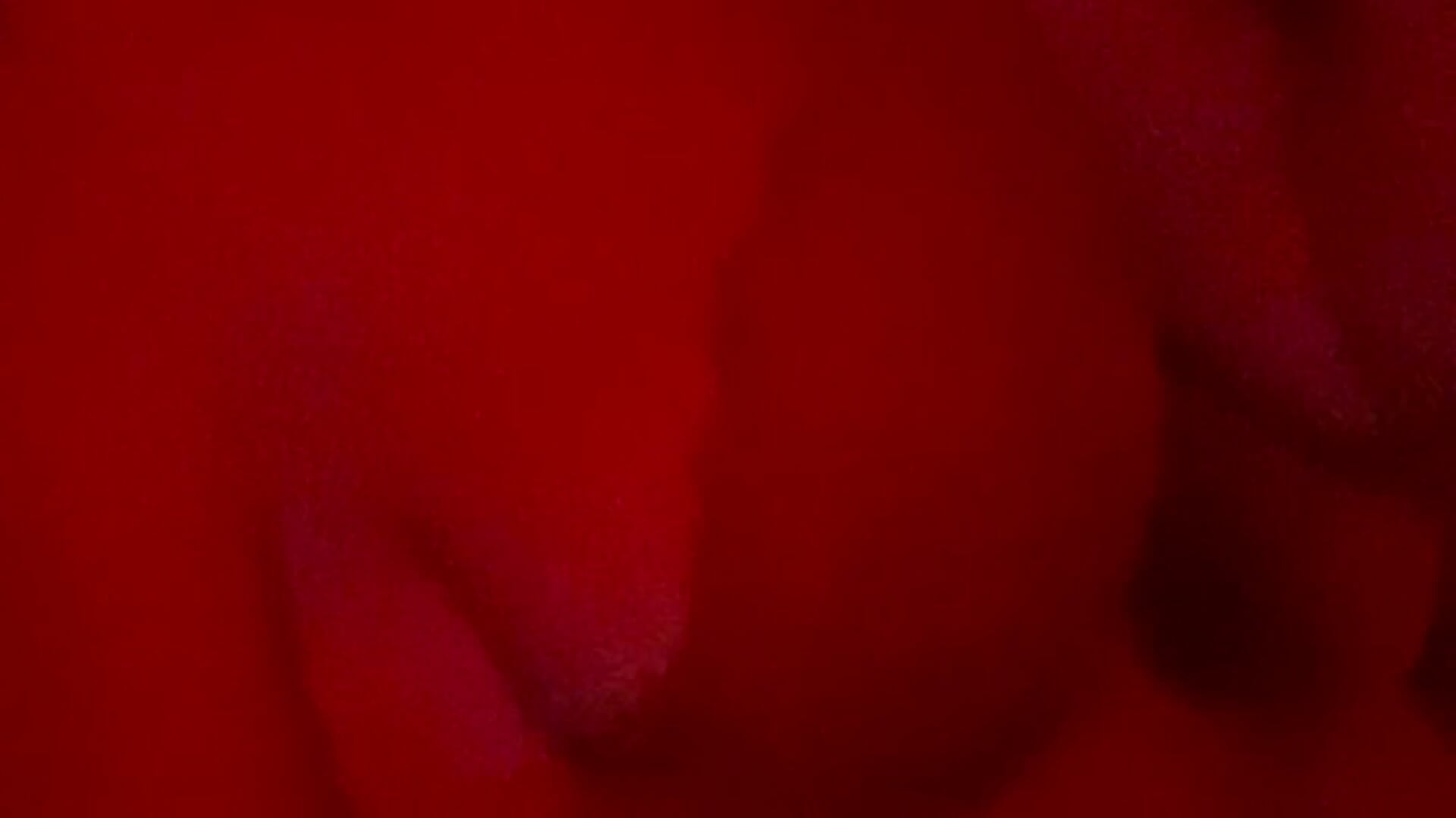 IMG_8565 - video by annefireboomb cam model