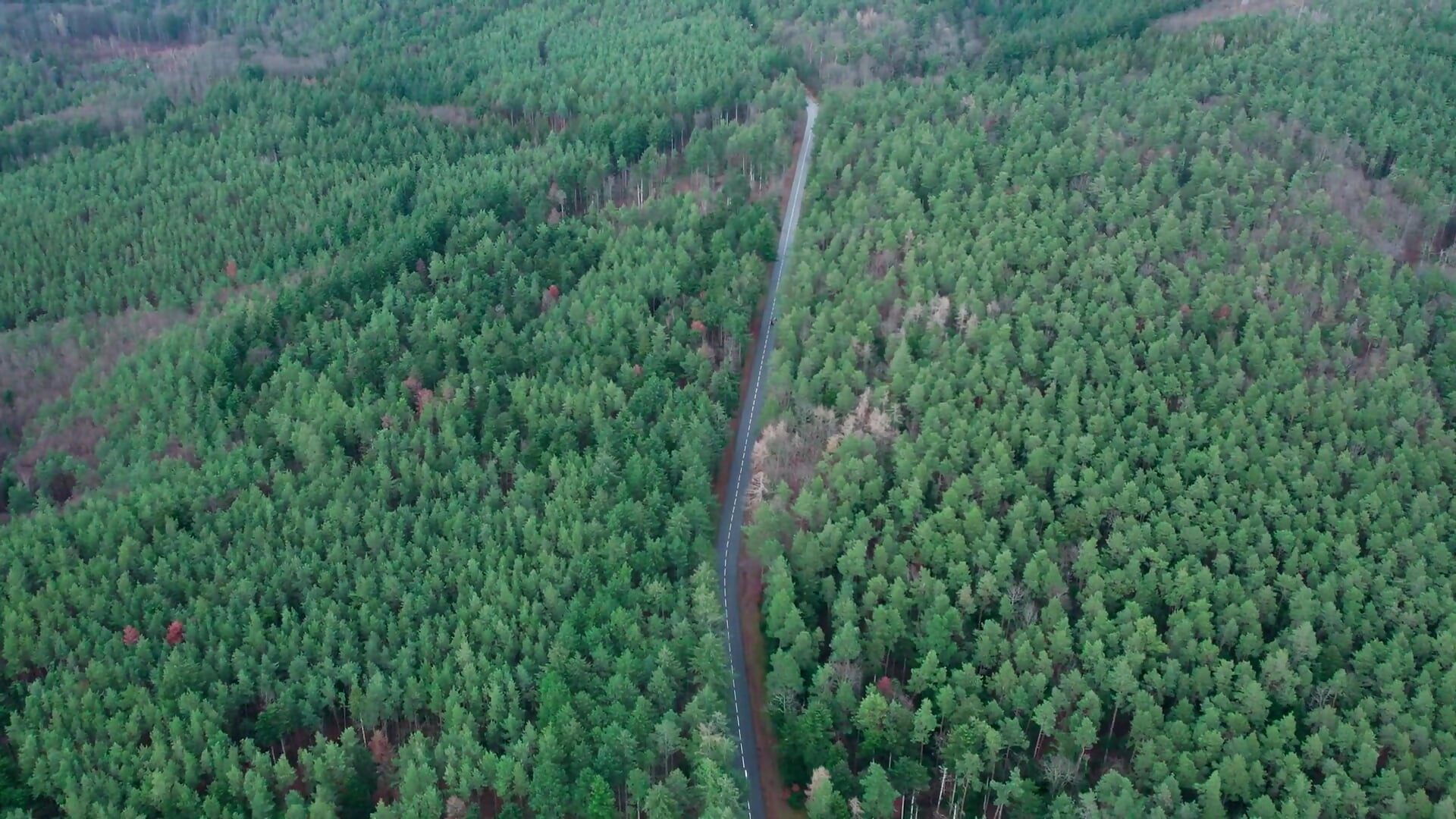 1000134793 - vídeo de la modelo de cam ne_yo69