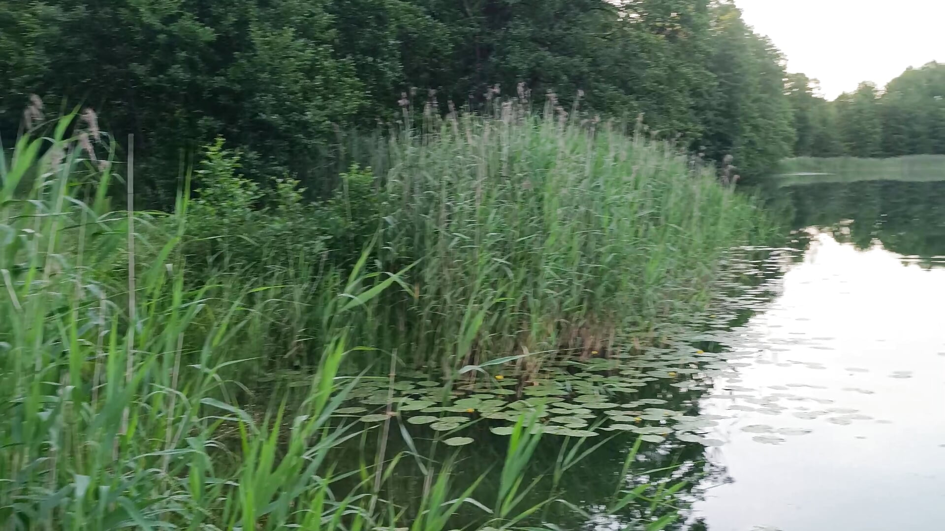 1000010589 - video by heppyheniu cam model