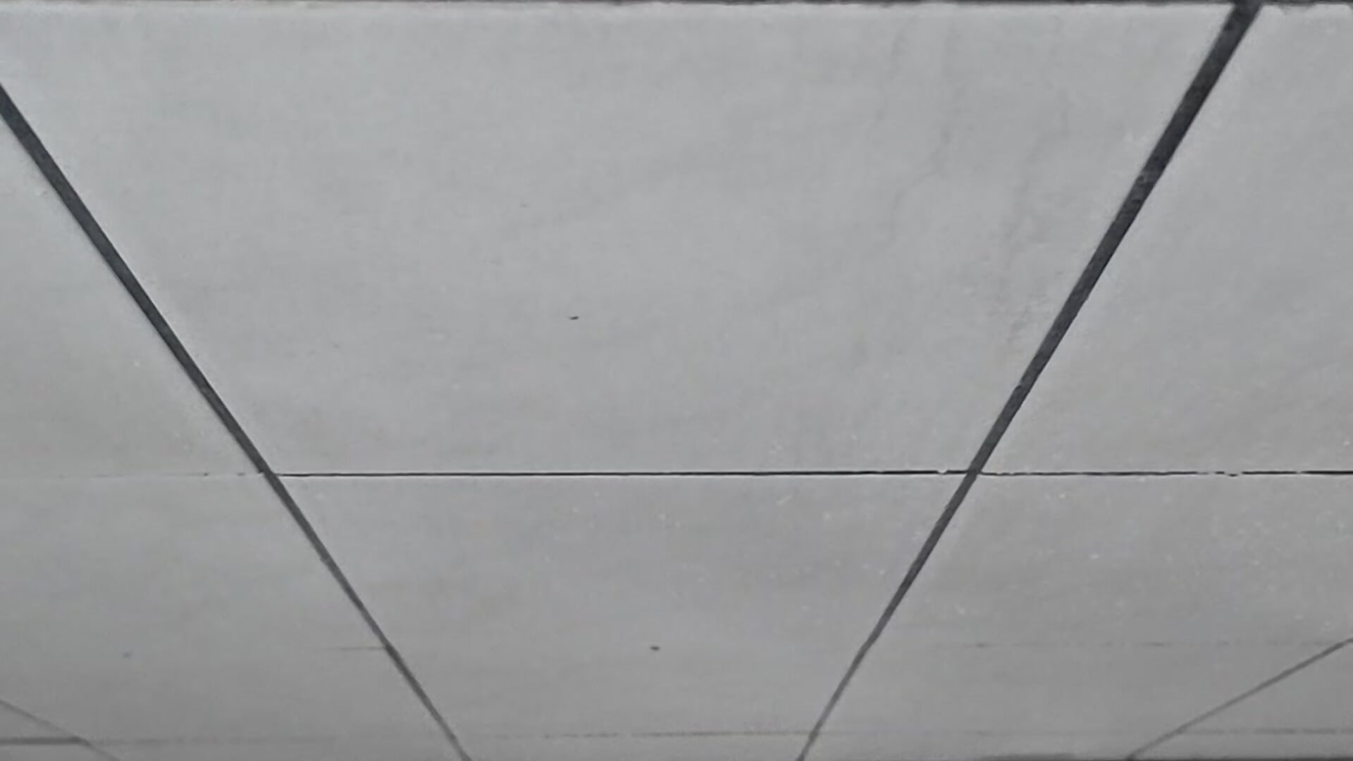 Cumshot on the shower - video oleh model kamera VikernesCam