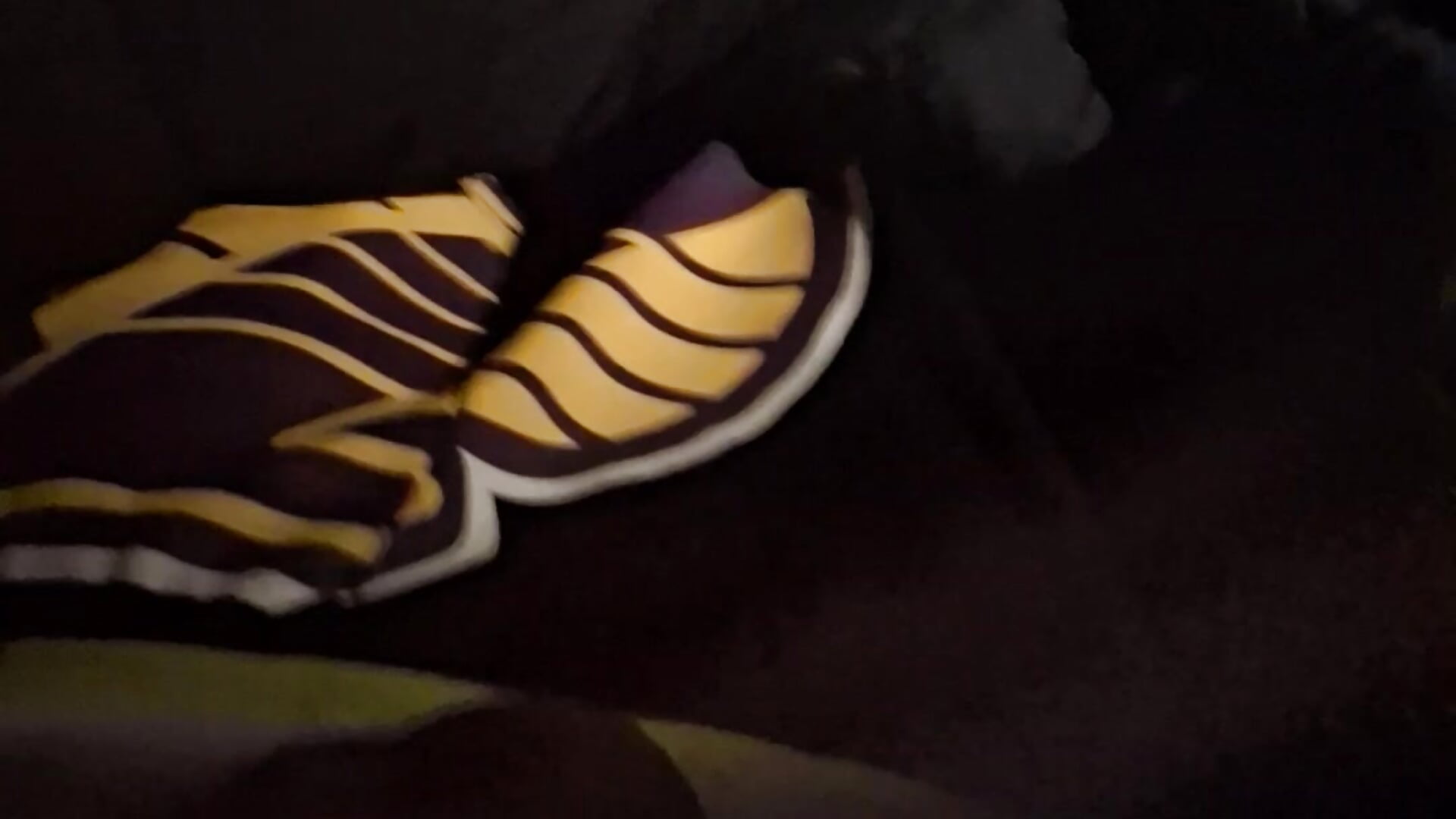 1000001627– Painstickwes kameramodell videója