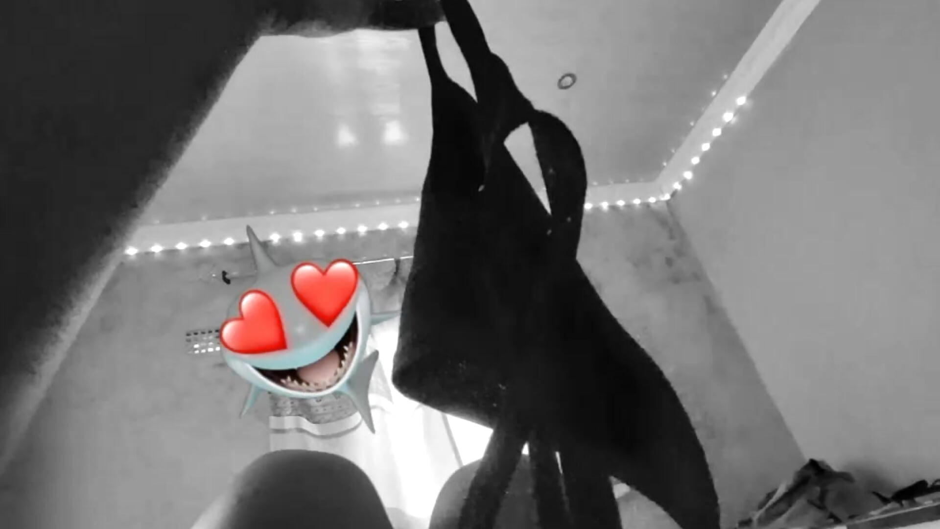 VID-20251212-WA0054 - video by Pearl-Lissa cam model