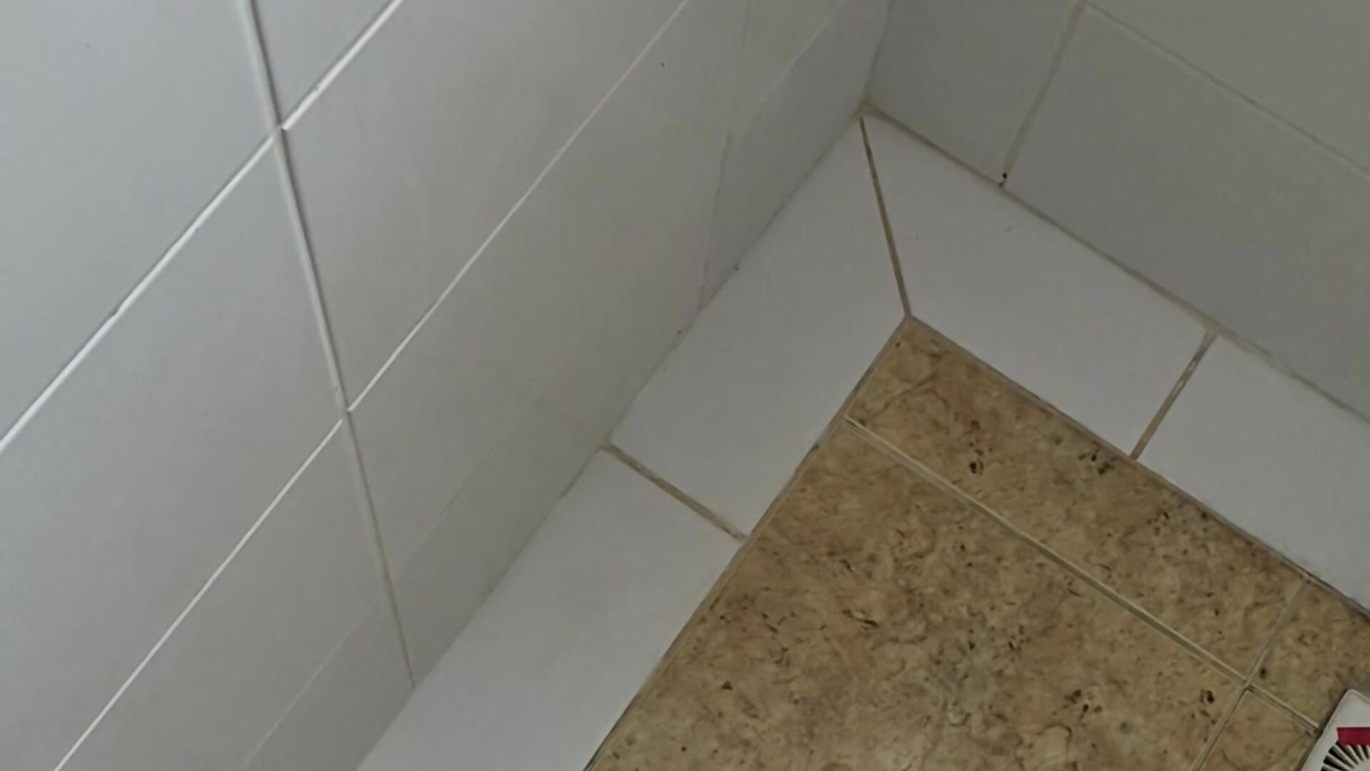 20251012_140938 - vidéo du modèle de showcams Salsicha244