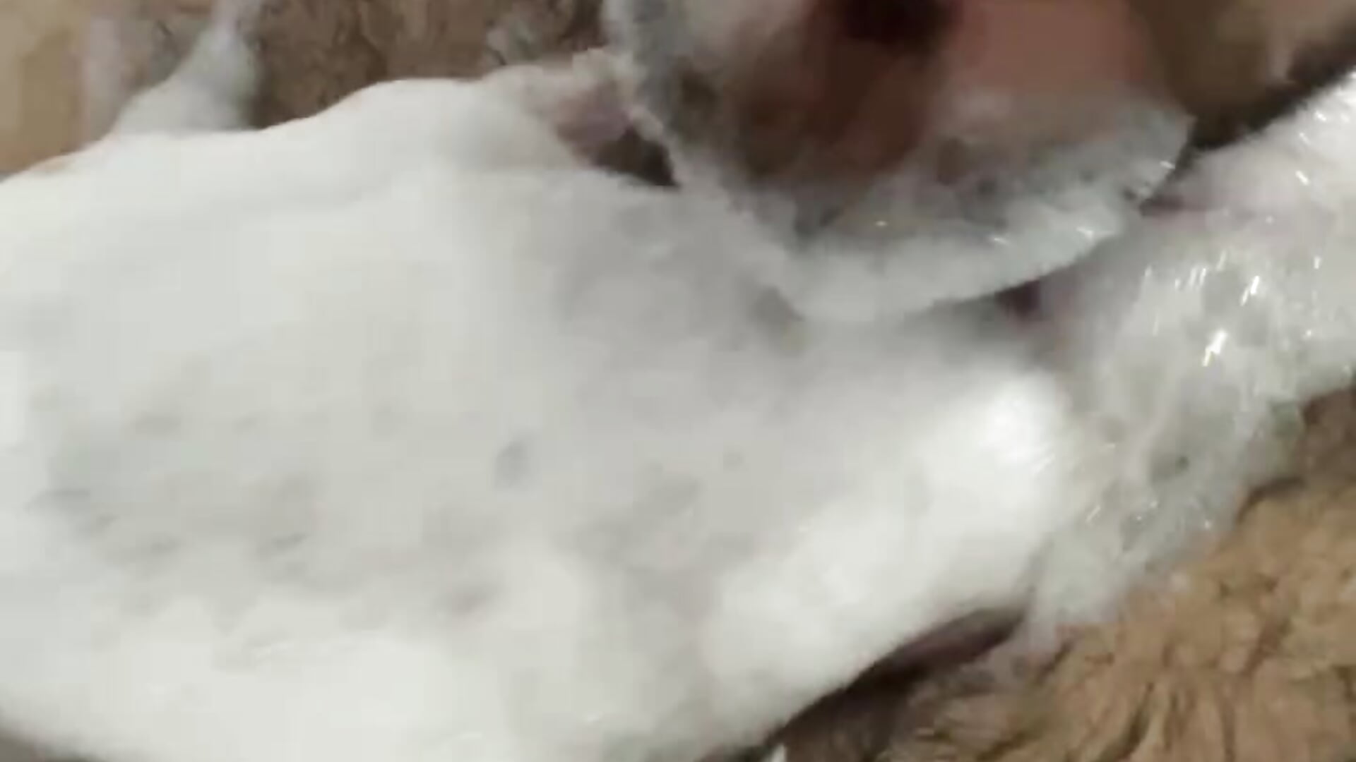 a bubble bear - video av big_bearr cam model