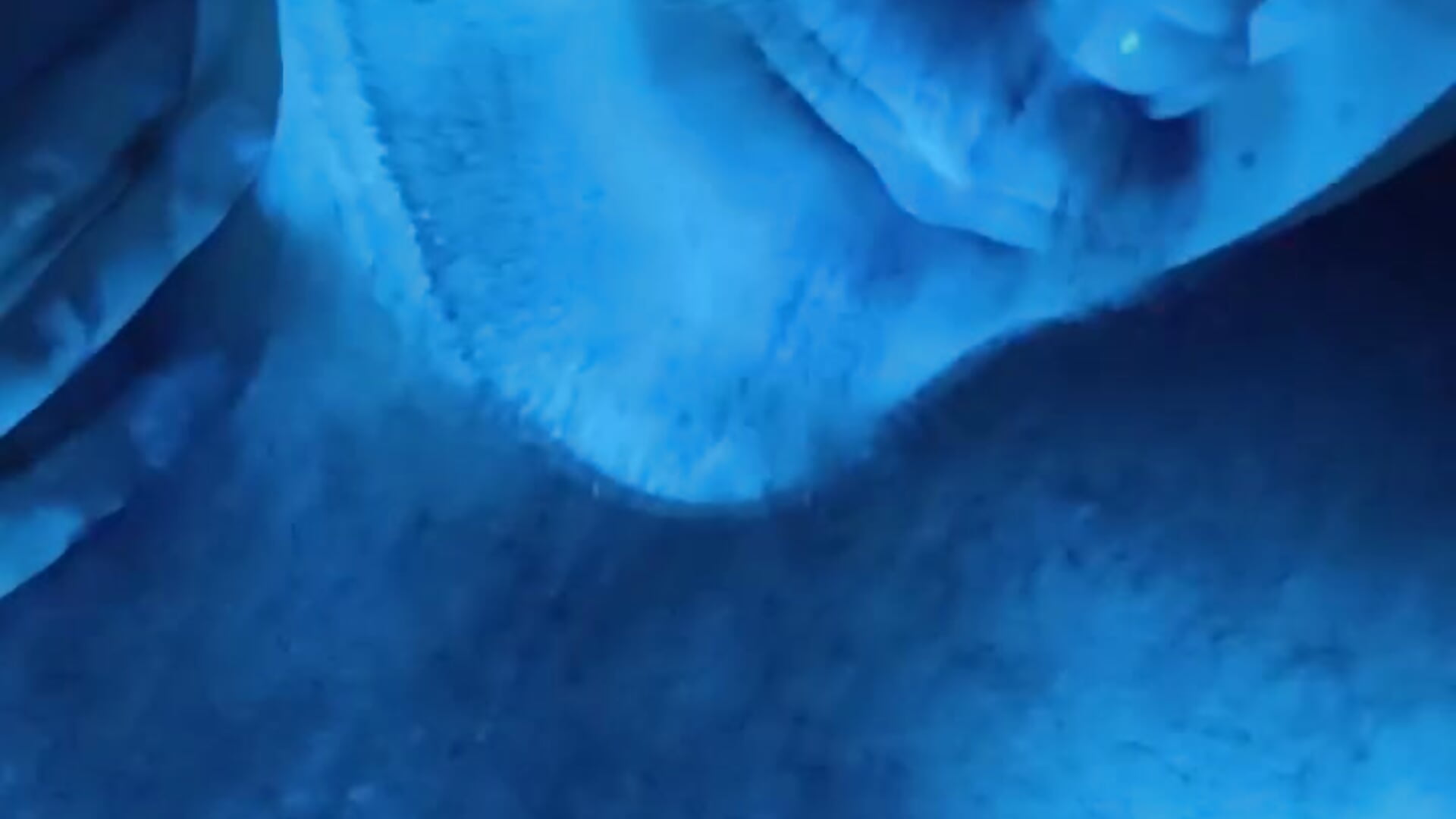 Hot bear - video by big_bearr cam model