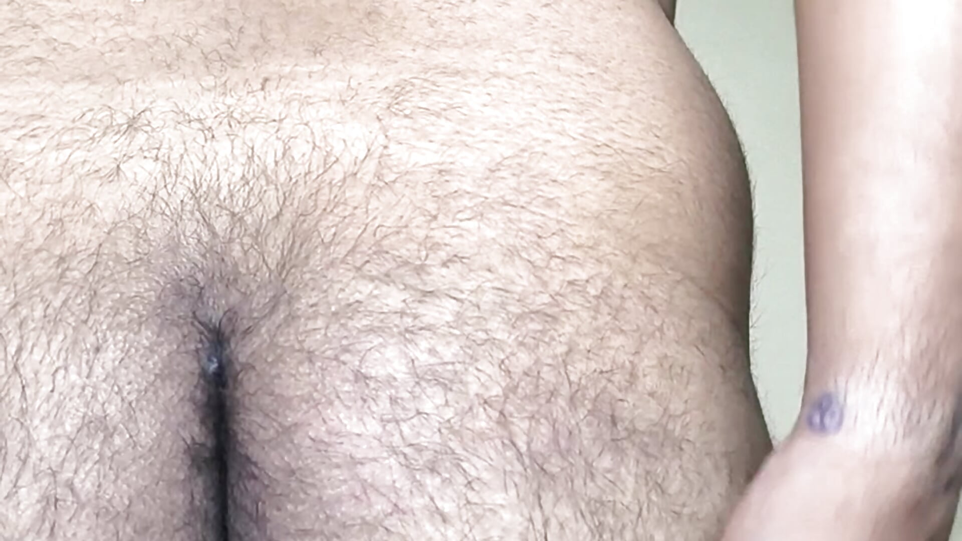Hairy butts - video by SilentTerr cam model
