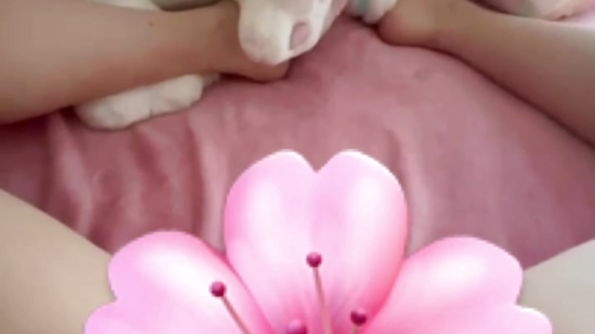 Prévia bem gostosa pra vcs ❤️ - video by demonk1ttysp cam model