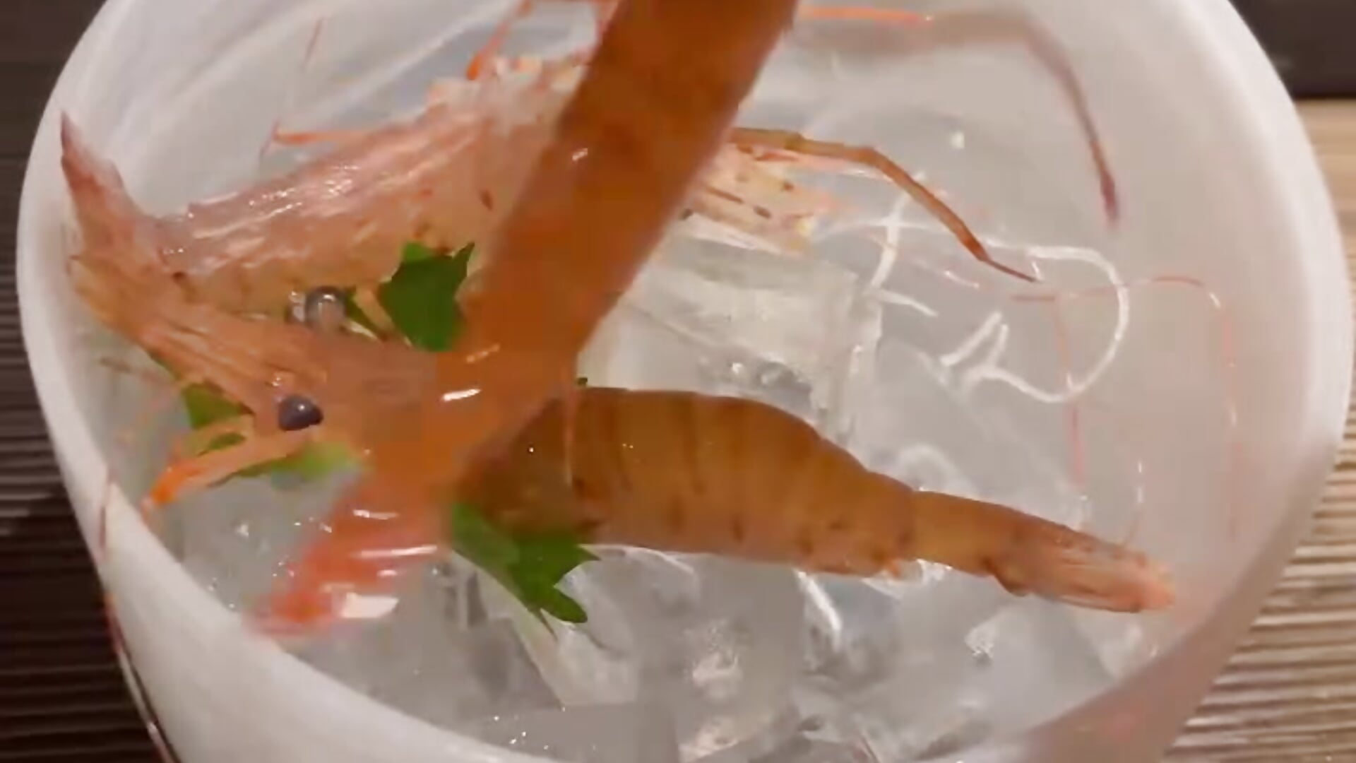 595808858769982449 - video by NINOoHard-Engine cam model