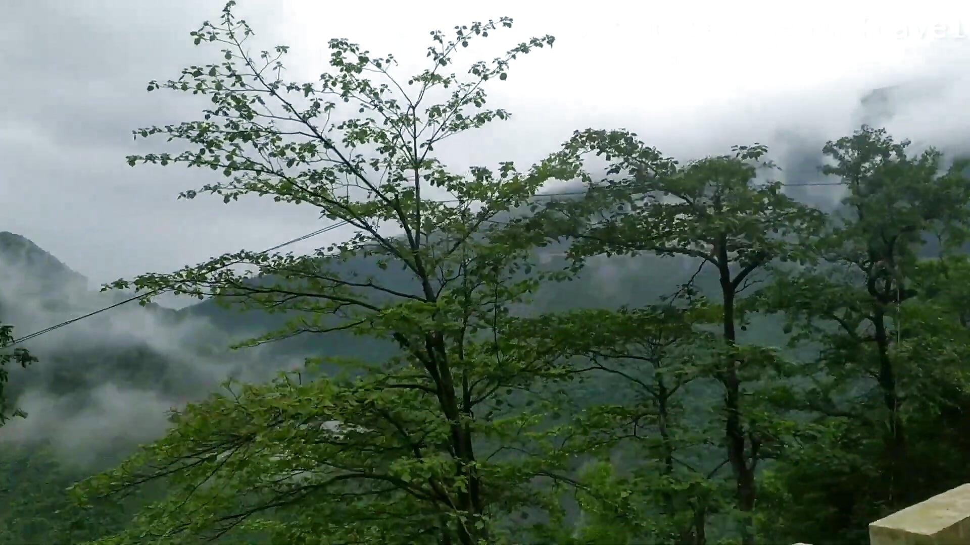 Nature.. - video by sweet-ananya23 cam model