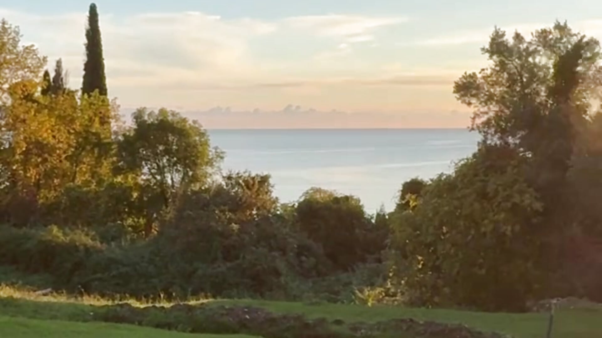 🧡 𝙇𝙞𝙫𝙚 𝙚𝙖𝙘𝙝 𝙙𝙖𝙮 𝙖𝙨 𝙞𝙛 𝙞𝙩 𝙬𝙚𝙧𝙚 𝙮𝙤𝙪𝙧 𝙡𝙖𝙨𝙩 🧡 - video by Crystal_Neko cam model