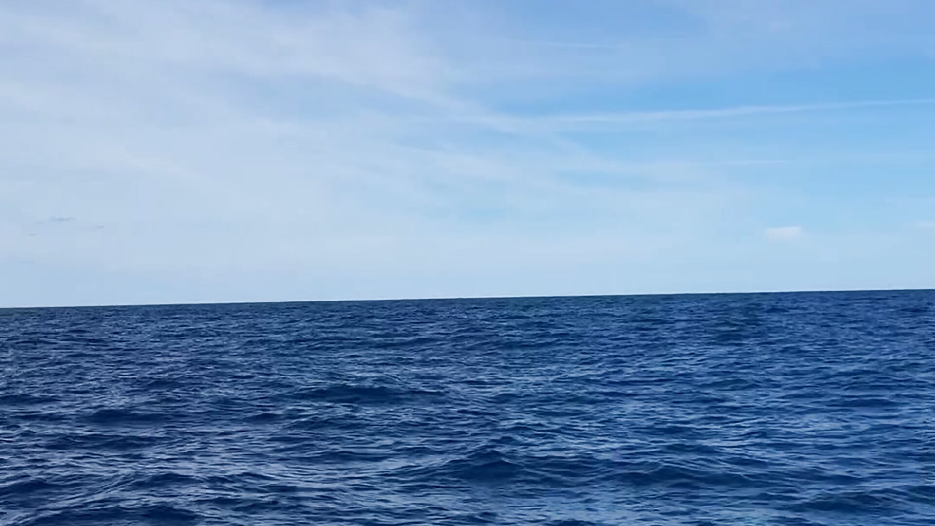 relax..... - Video von EvaCarter1 Cam-Model