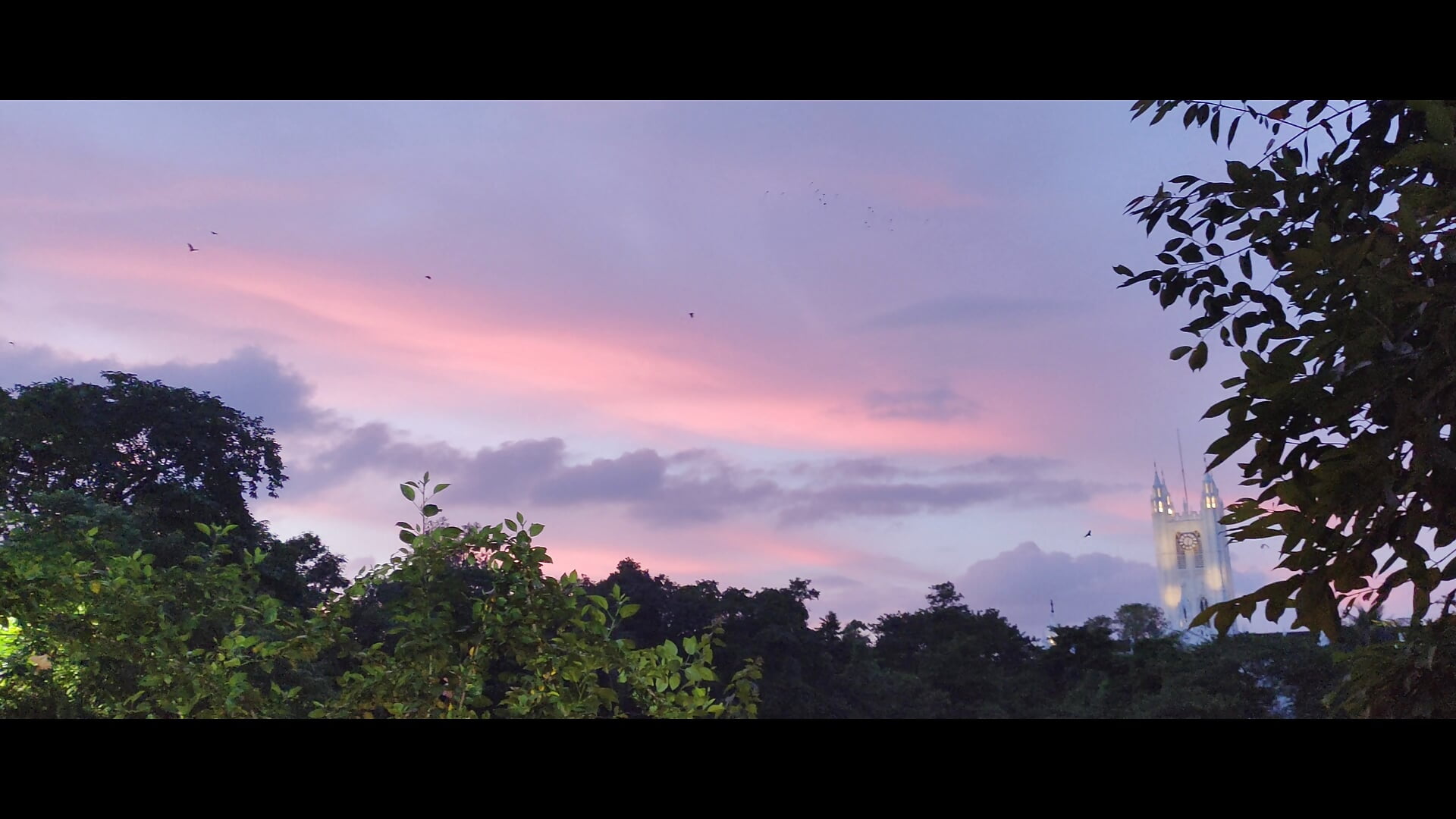 1000350814 - video by miss_kheyali cam model