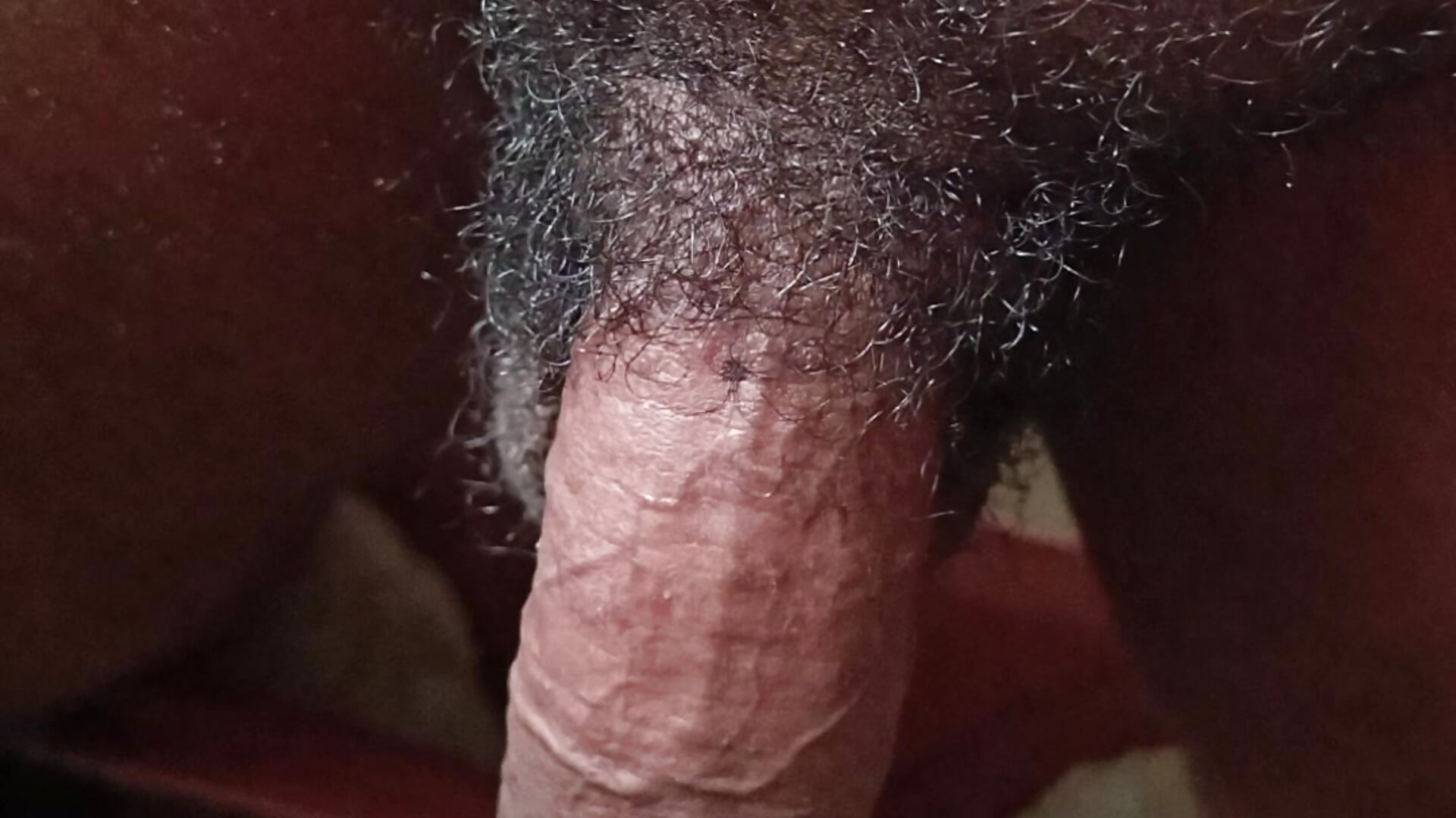 Tevez2348