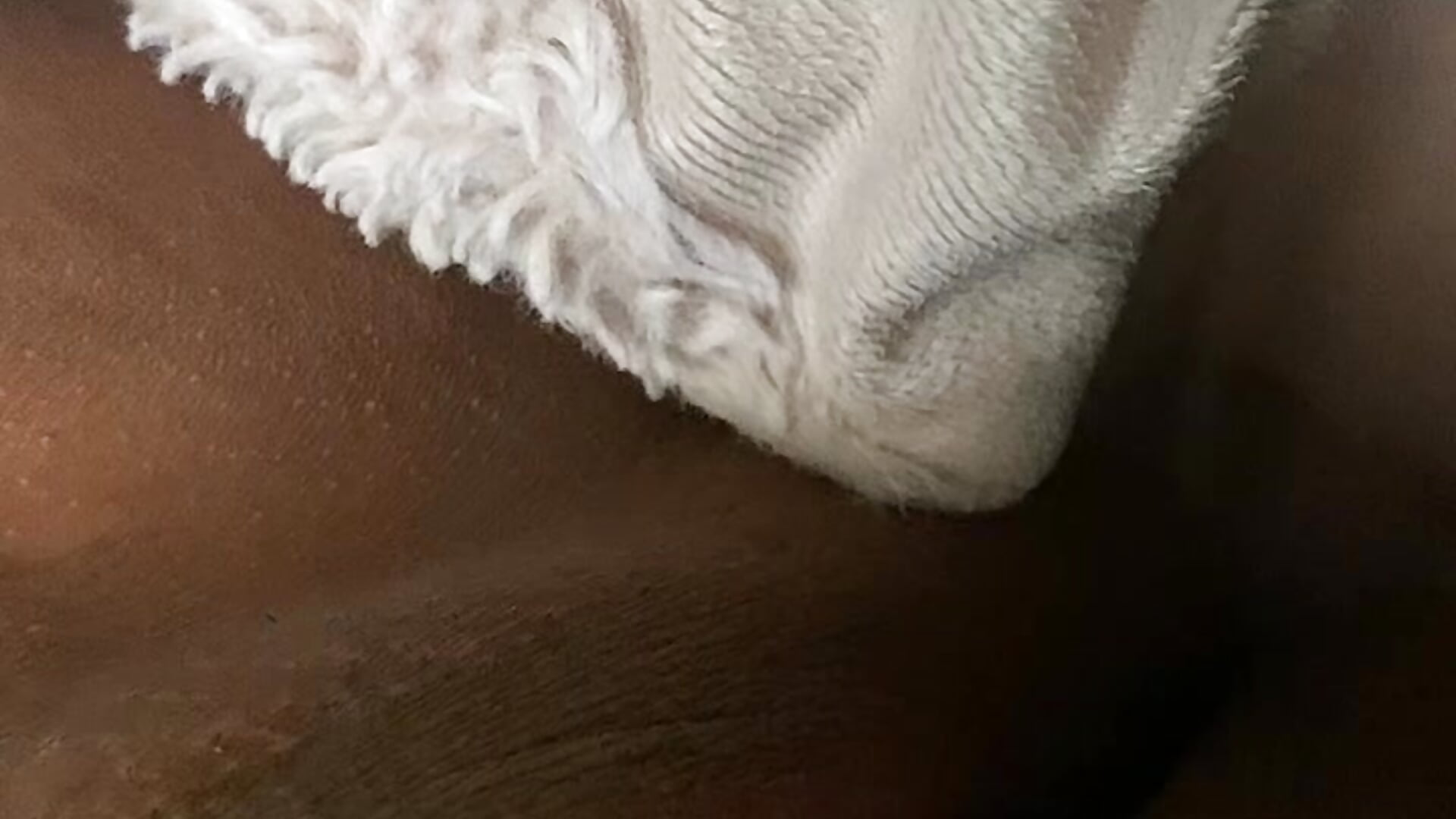 Can I give u head with my pussylips? - video by pmonie cam model