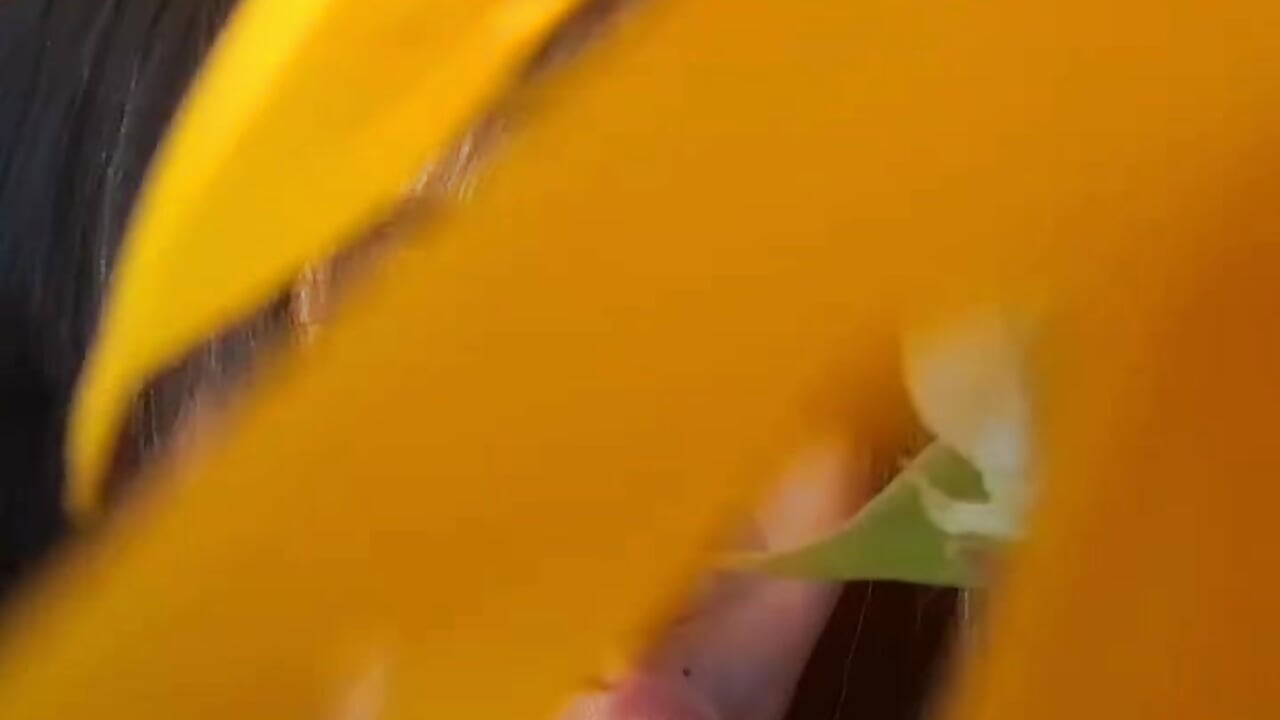 ✨ find me my lovel 🤭🌻💐 - video by who_is_milyxx cam model